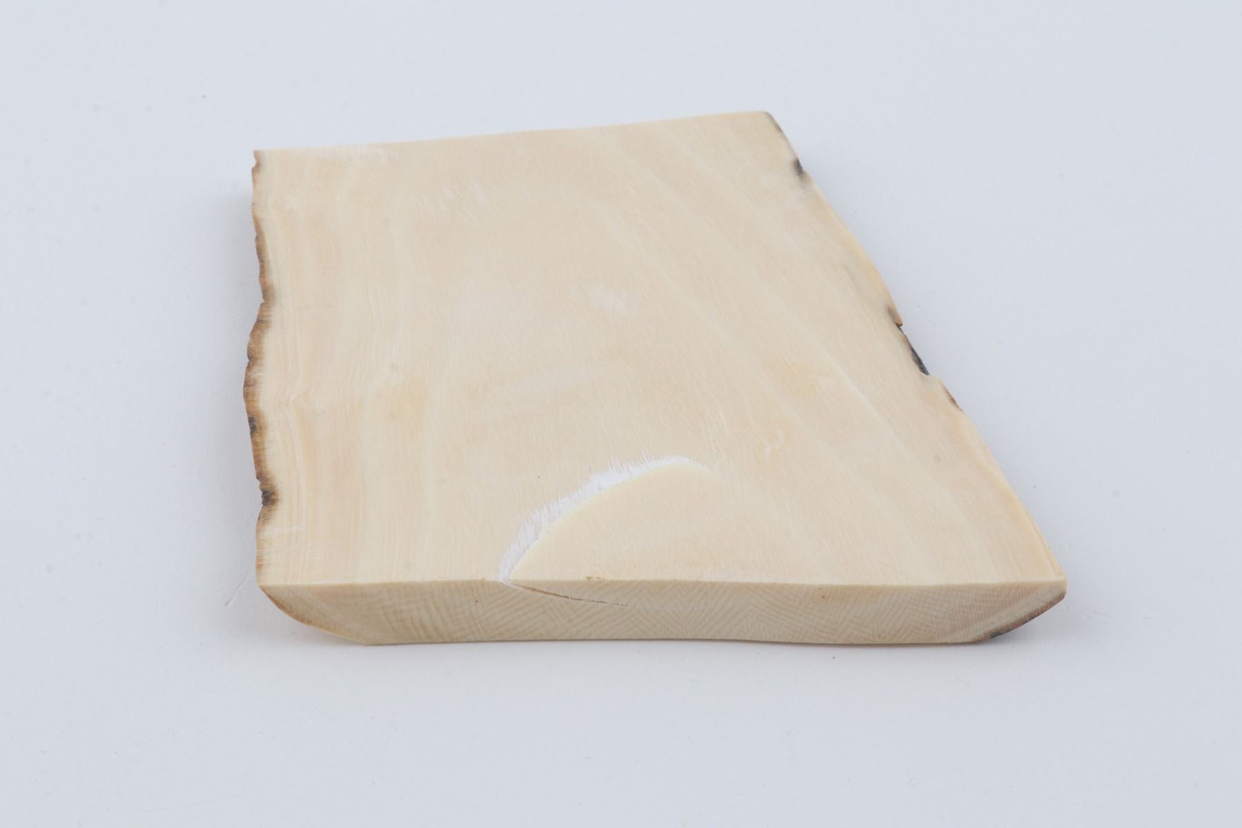 White mammoth ivory segment
