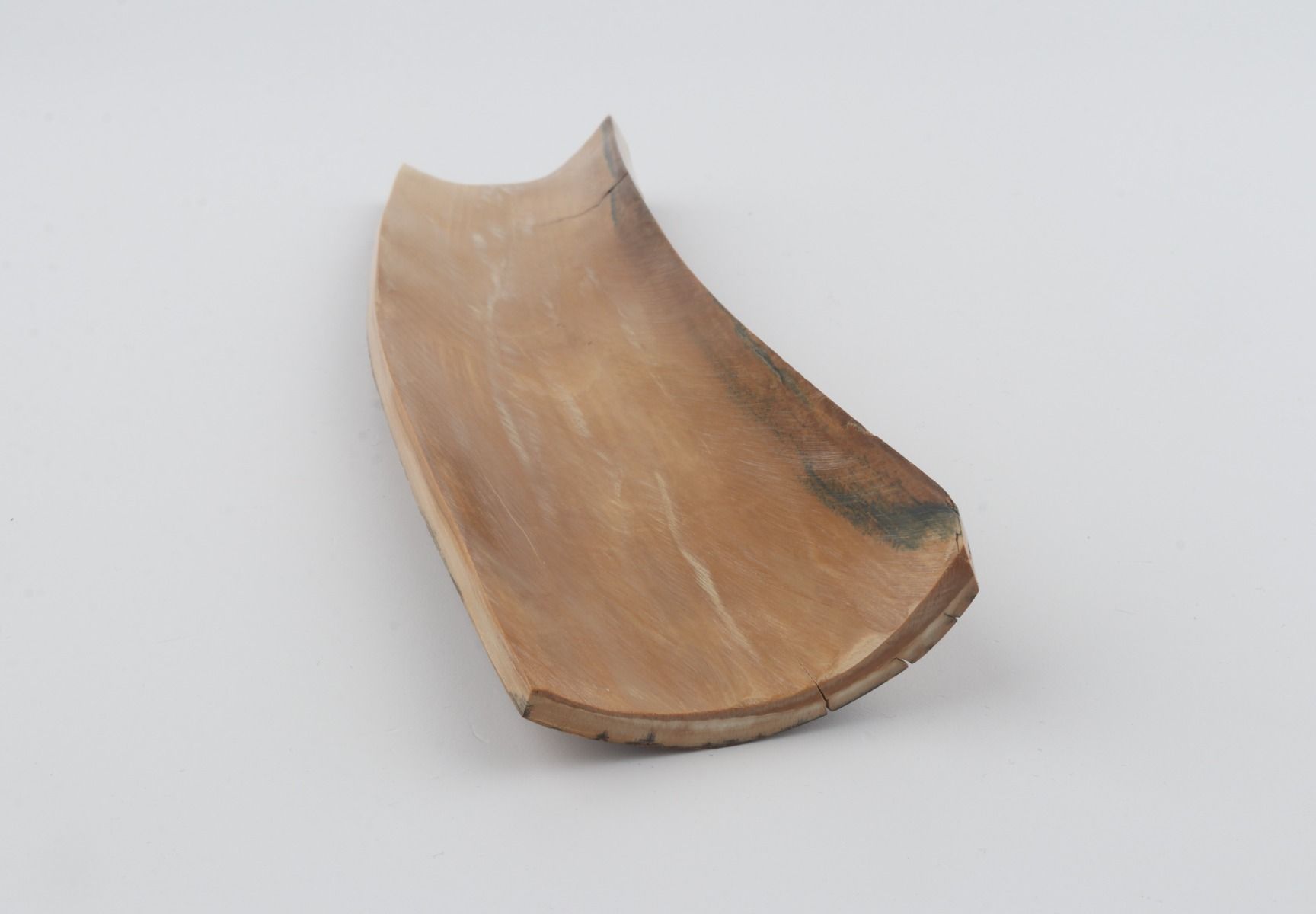 Beige-blue mammoth bark