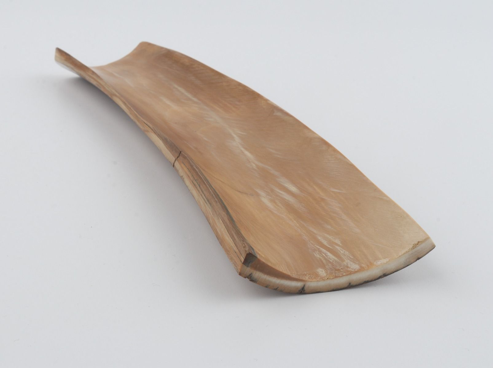 Beige-blue mammoth bark