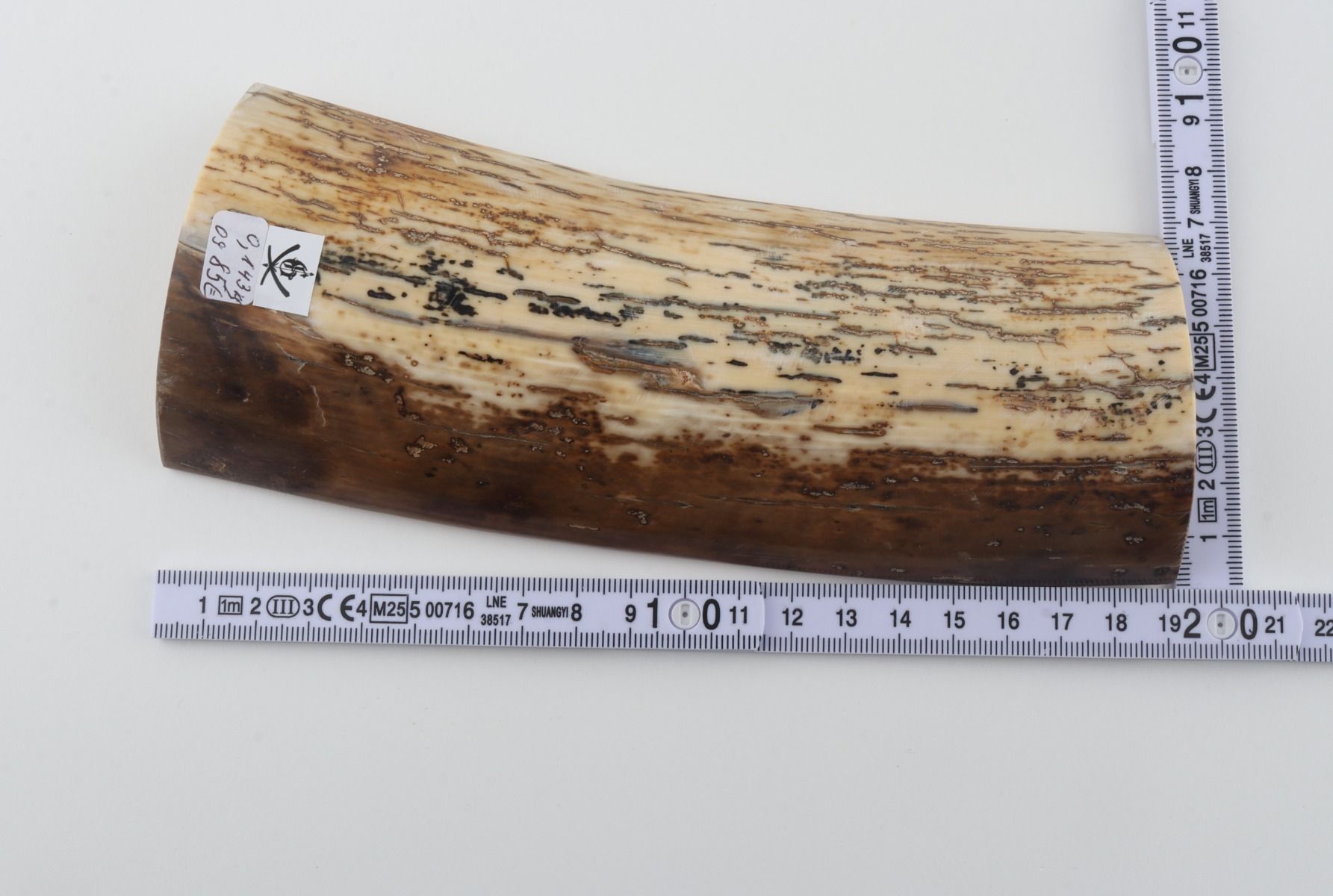 Natural mammoth bark