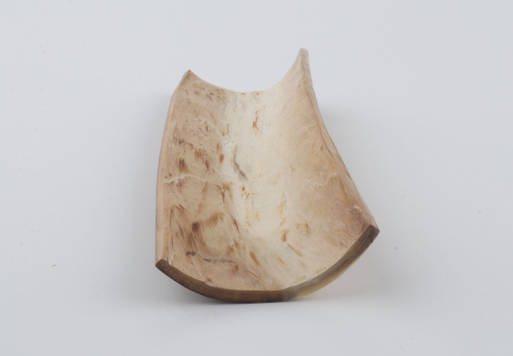 Natural mammoth bark