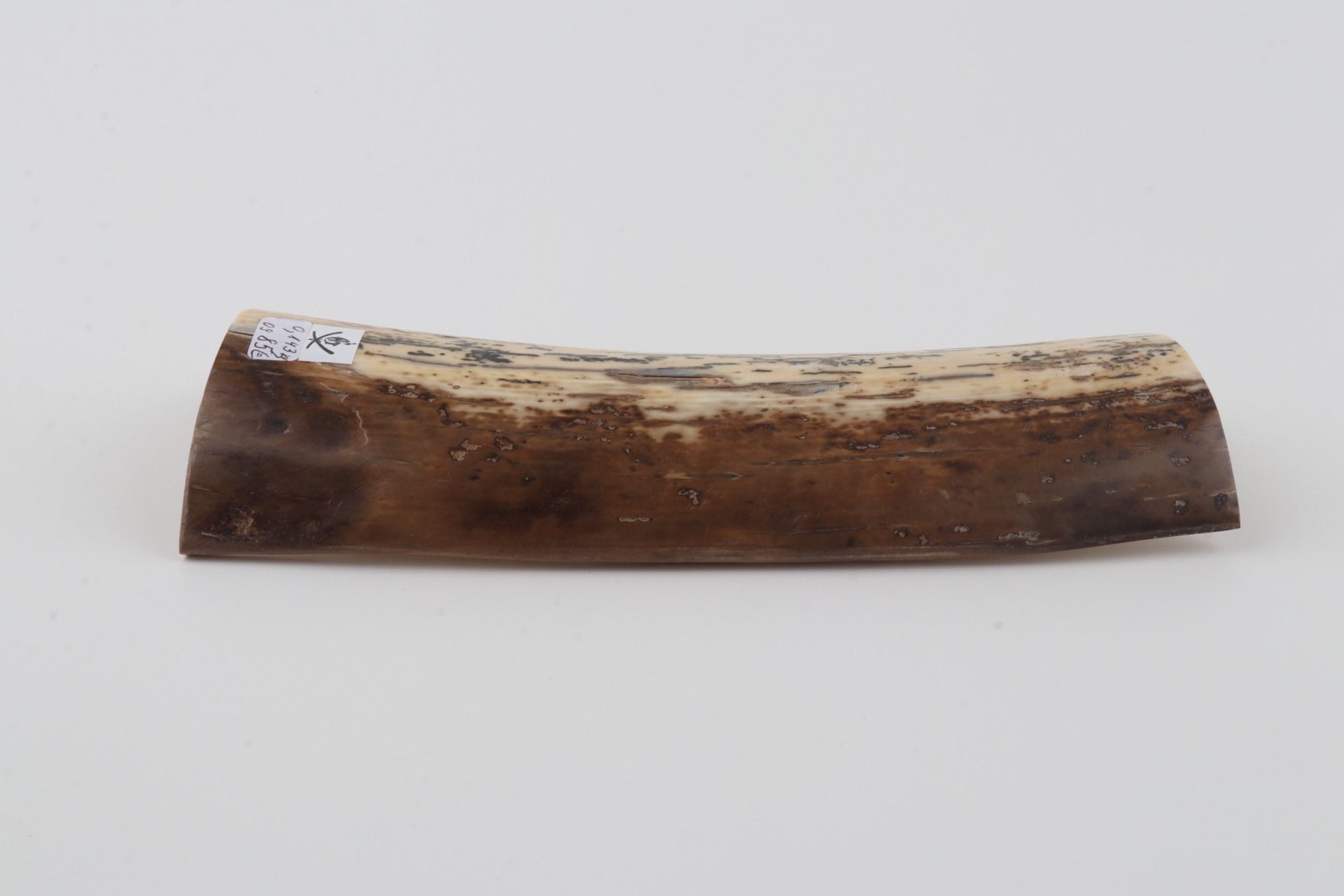 Natural mammoth bark