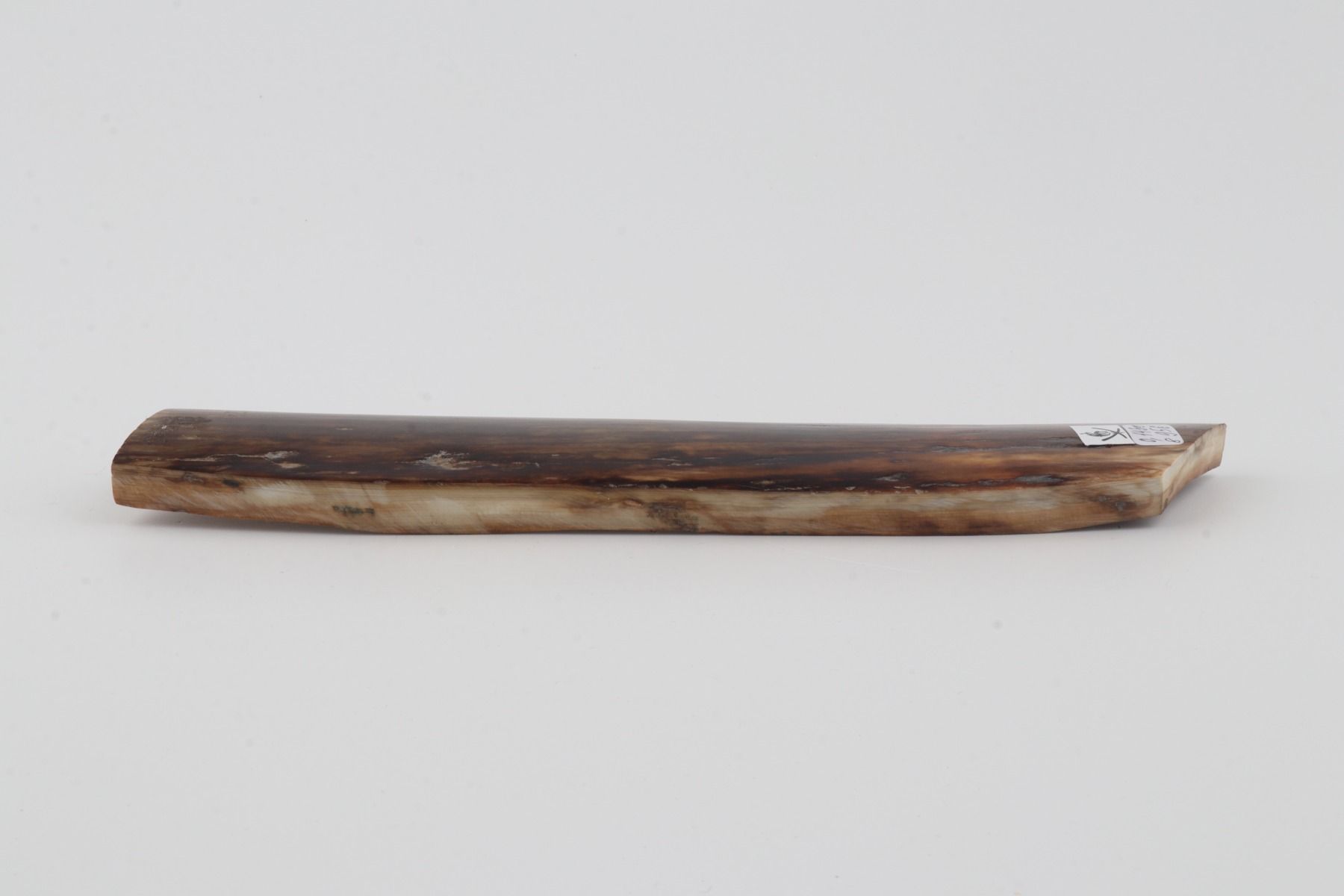 Brown mammoth bark