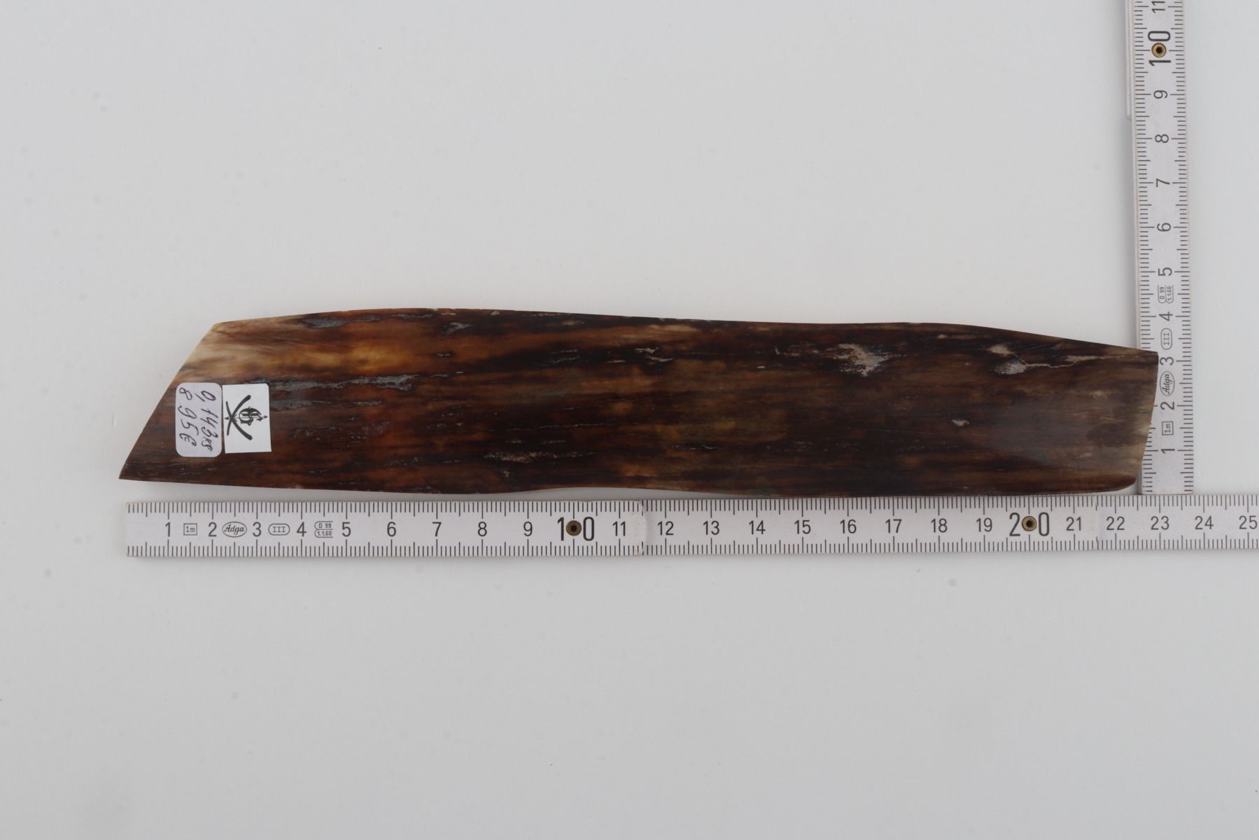 Brown mammoth bark