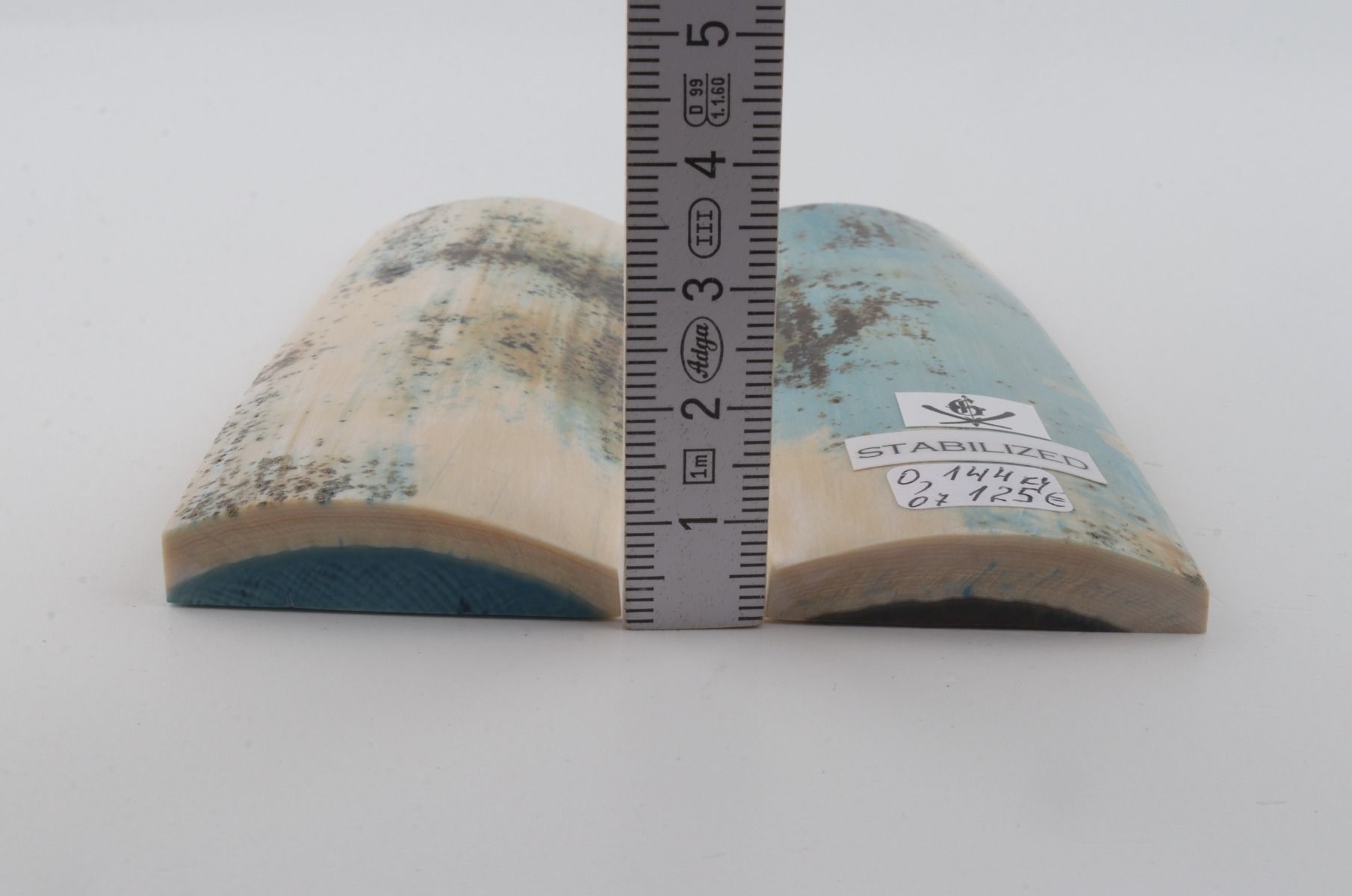 Stabilised mammoth bark scales