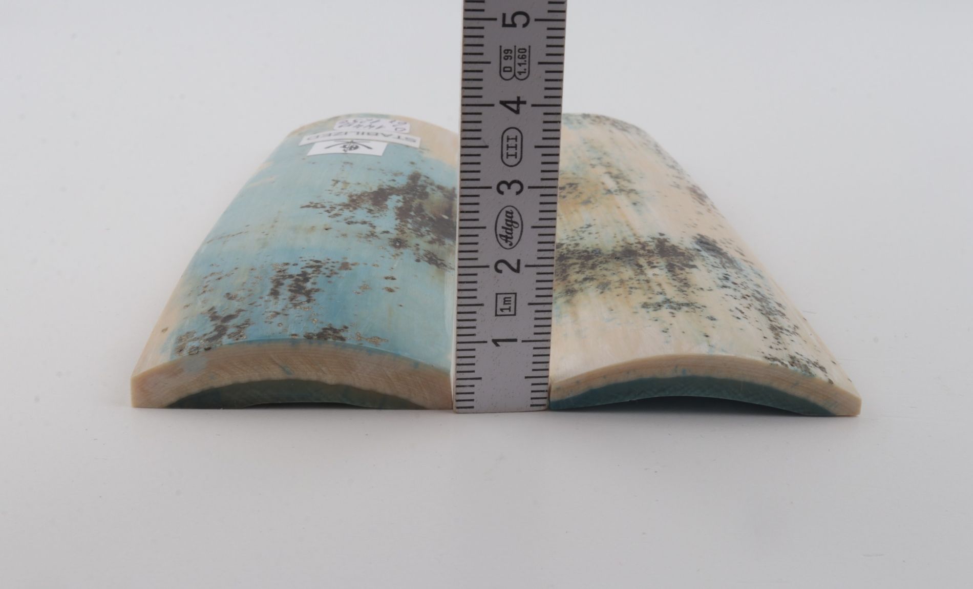 Stabilised mammoth bark scales