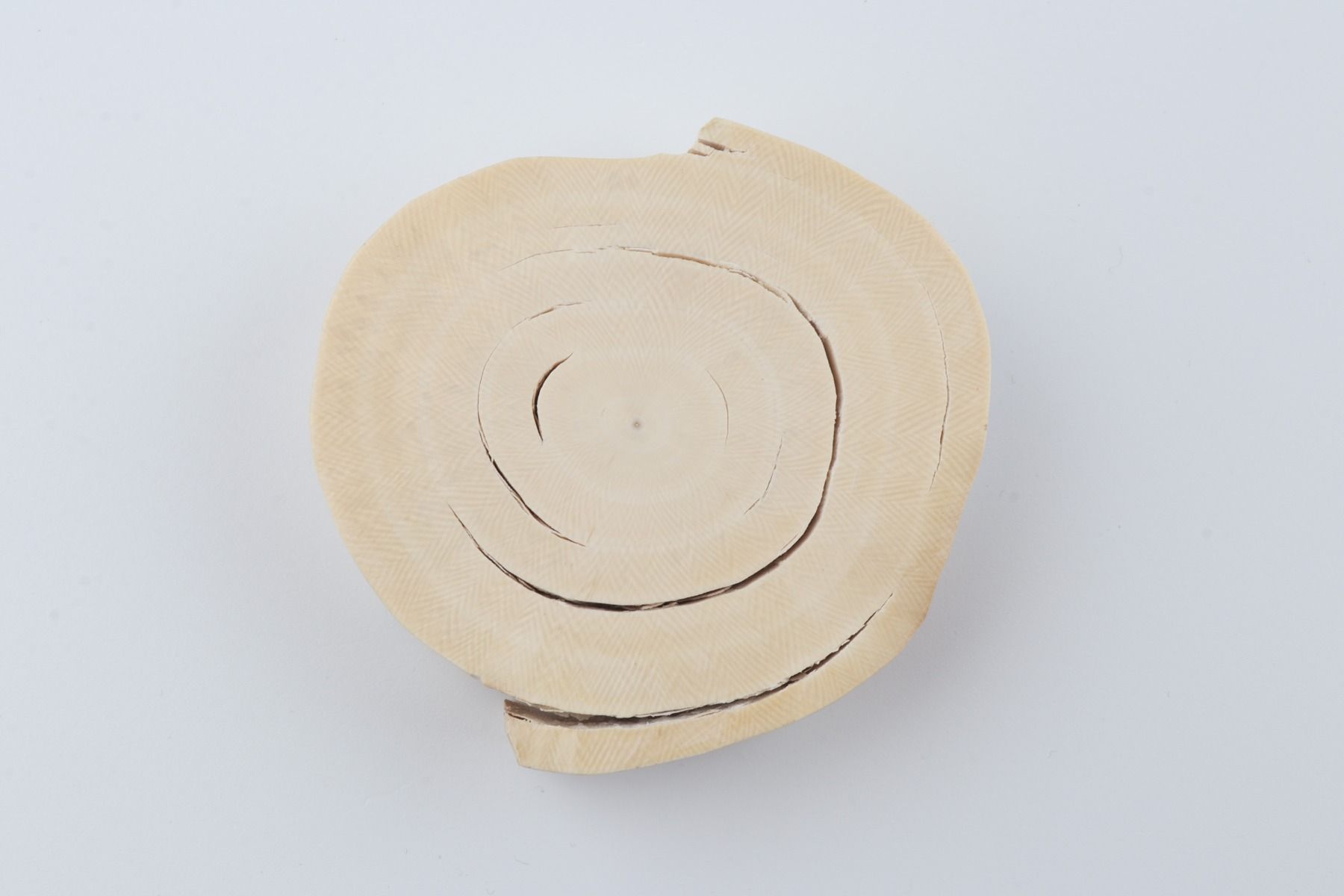 Round mammoth tusk piece