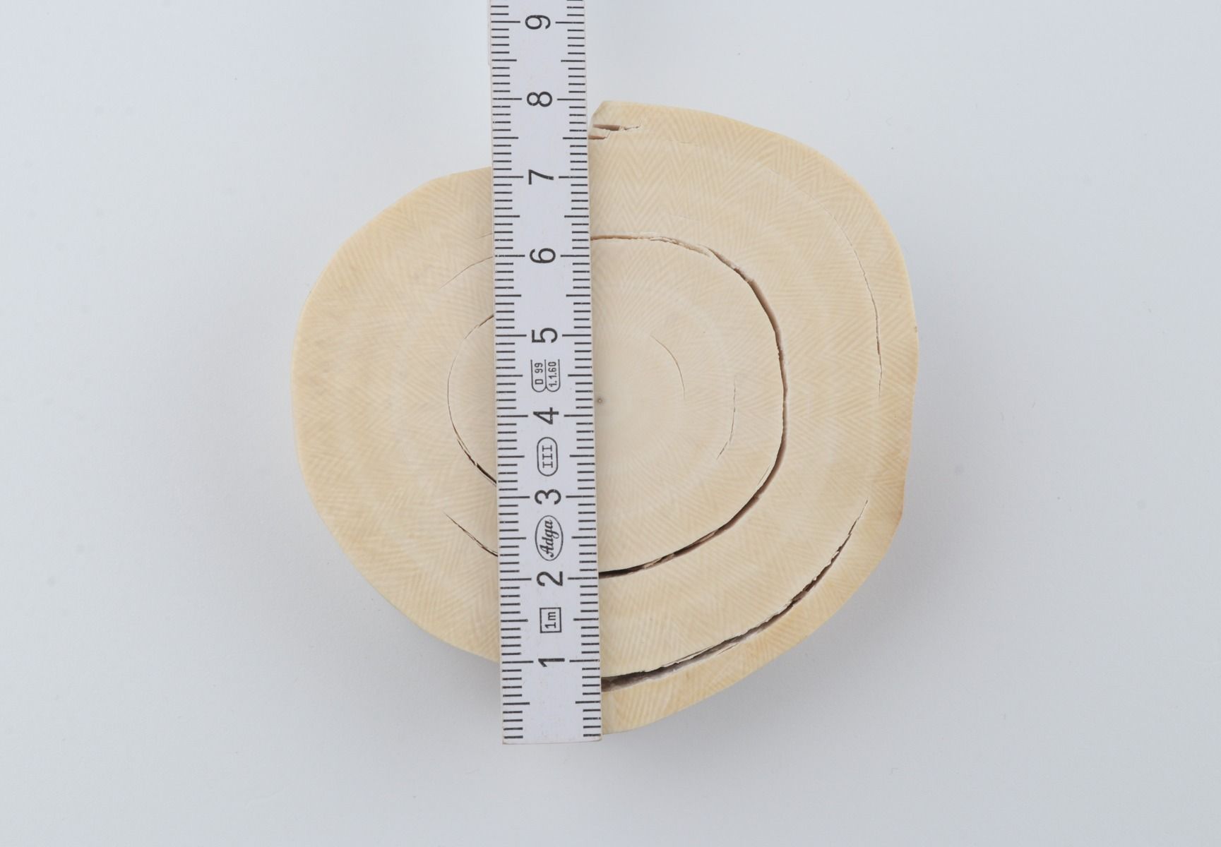Round mammoth tusk piece