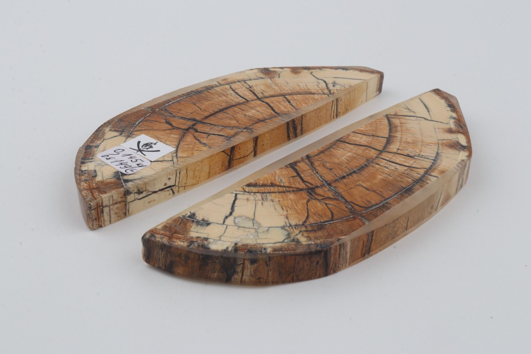 Stabilised mammoth ivory scales