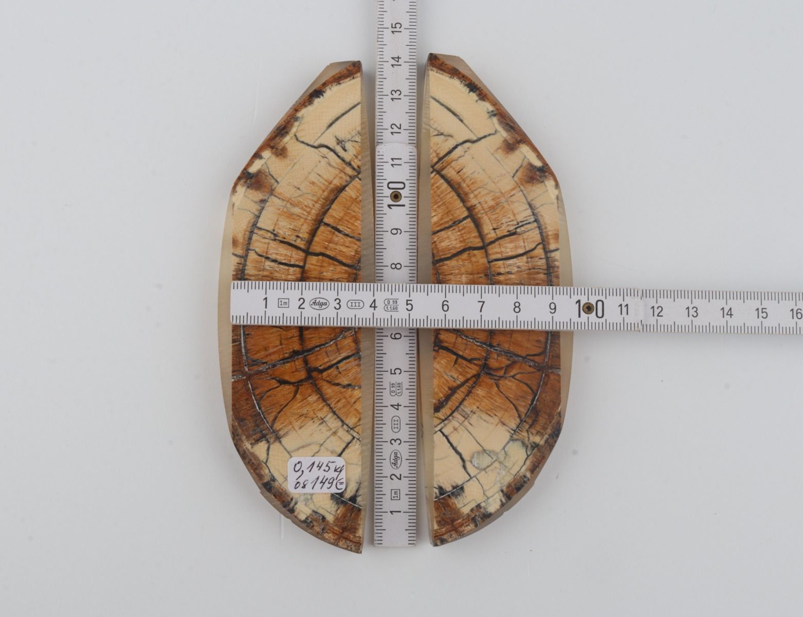 Stabilised mammoth ivory scales