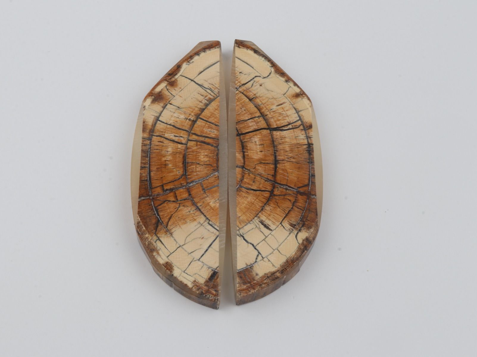 Stabilised mammoth ivory scales