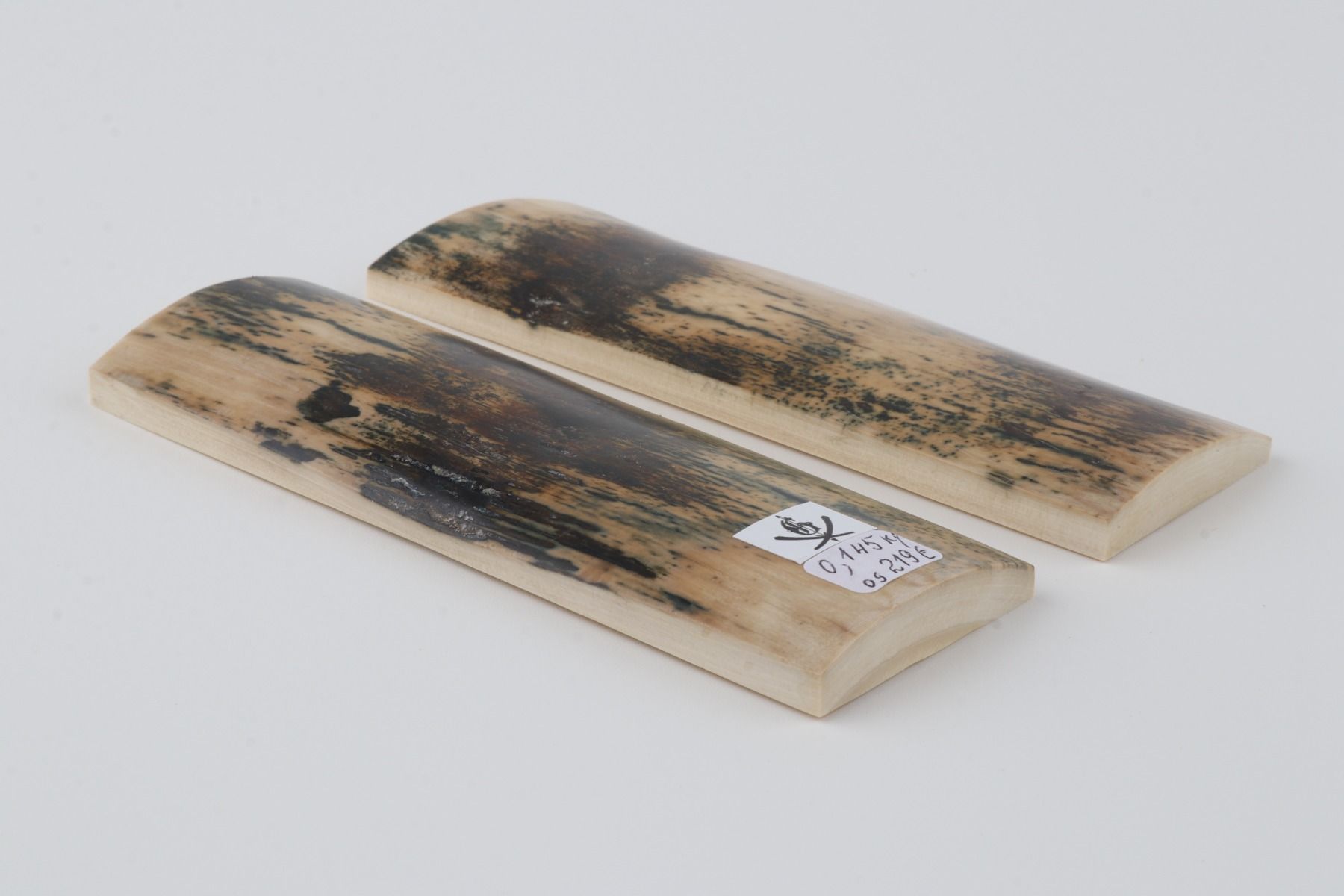 Natural mammoth bark scales