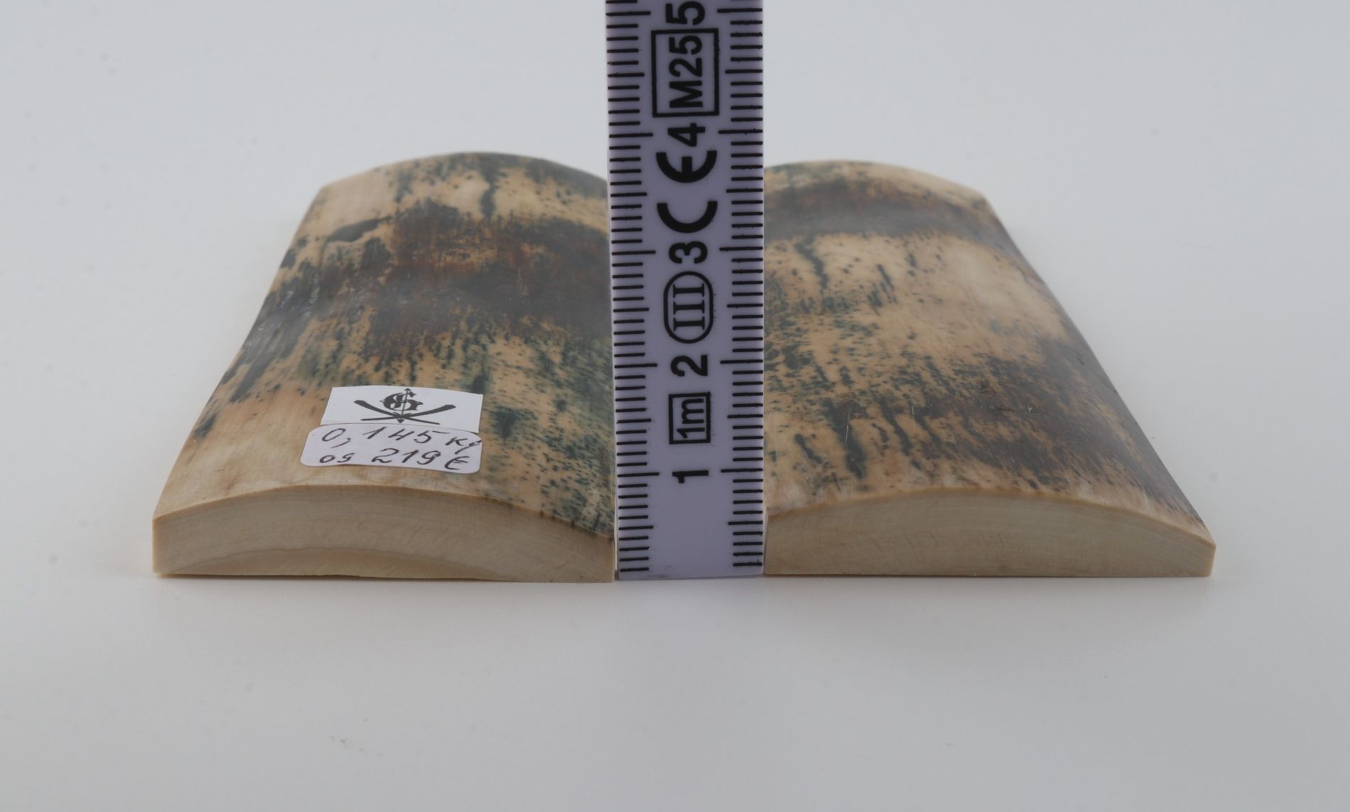 Natural mammoth bark scales