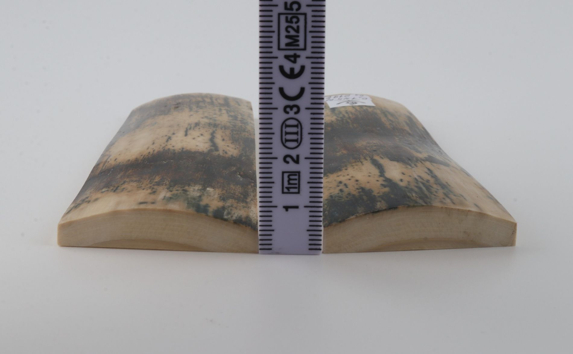 Natural mammoth bark scales
