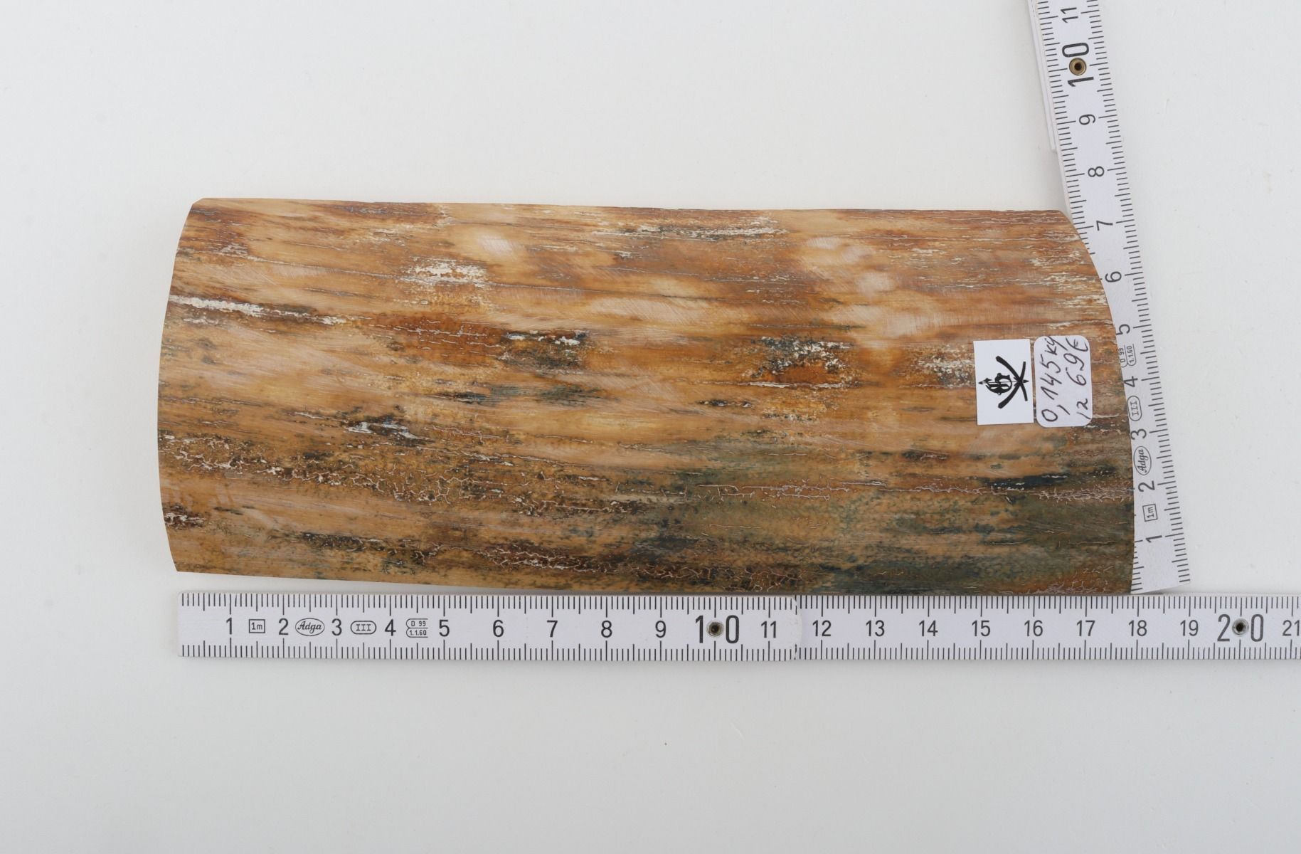 Beige-green mammoth bark