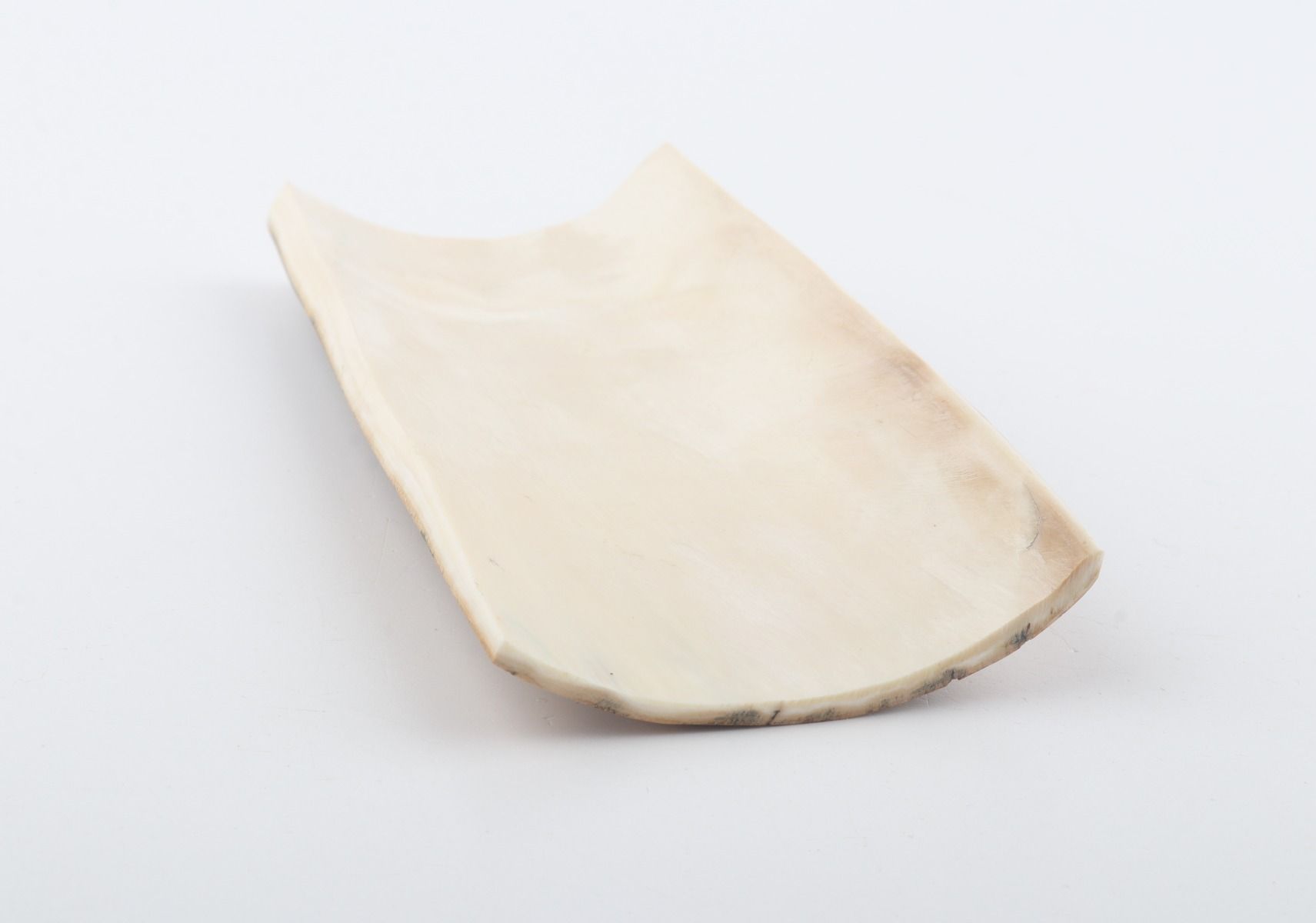 Beige-green mammoth bark