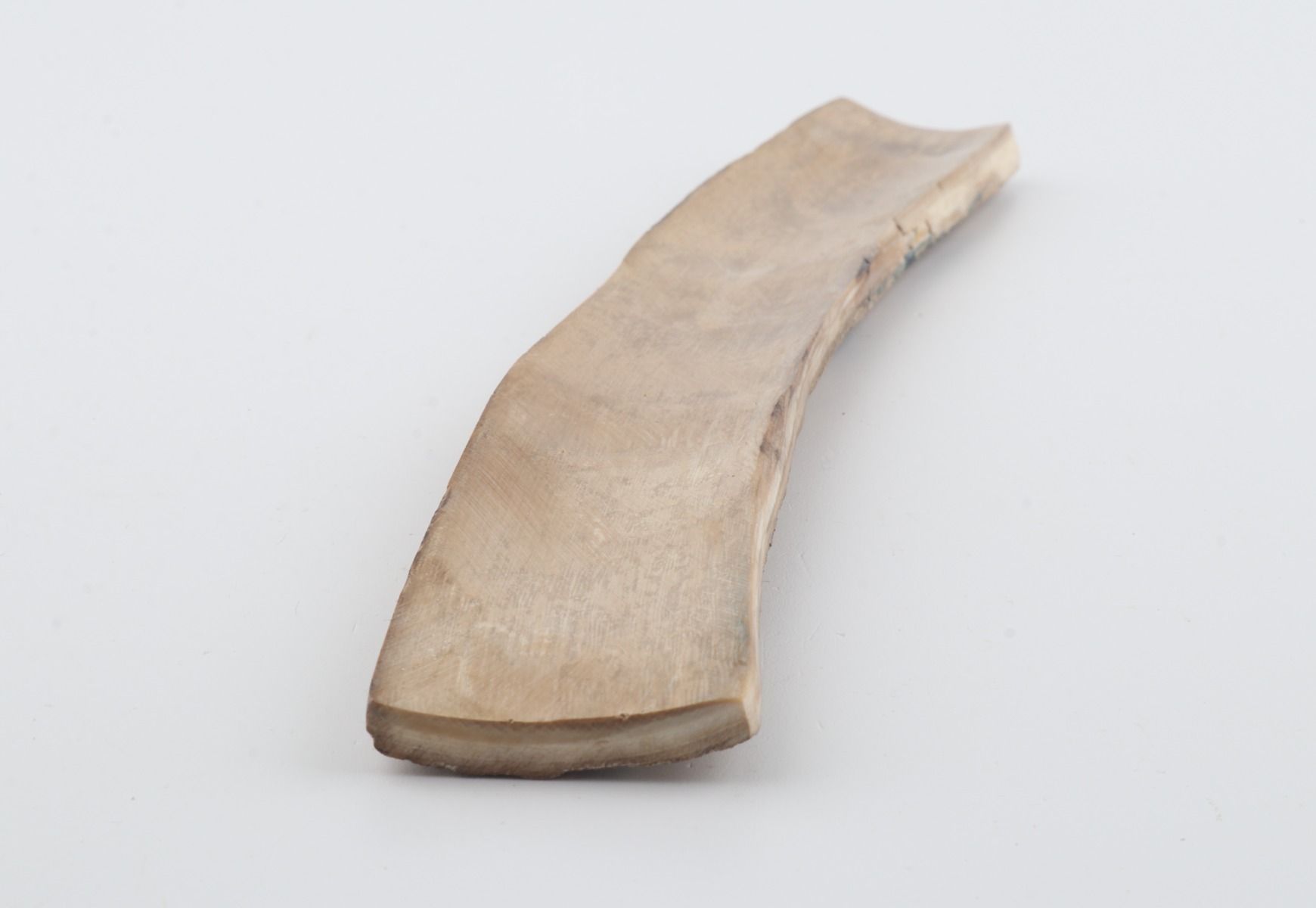 Beige mammoth bark