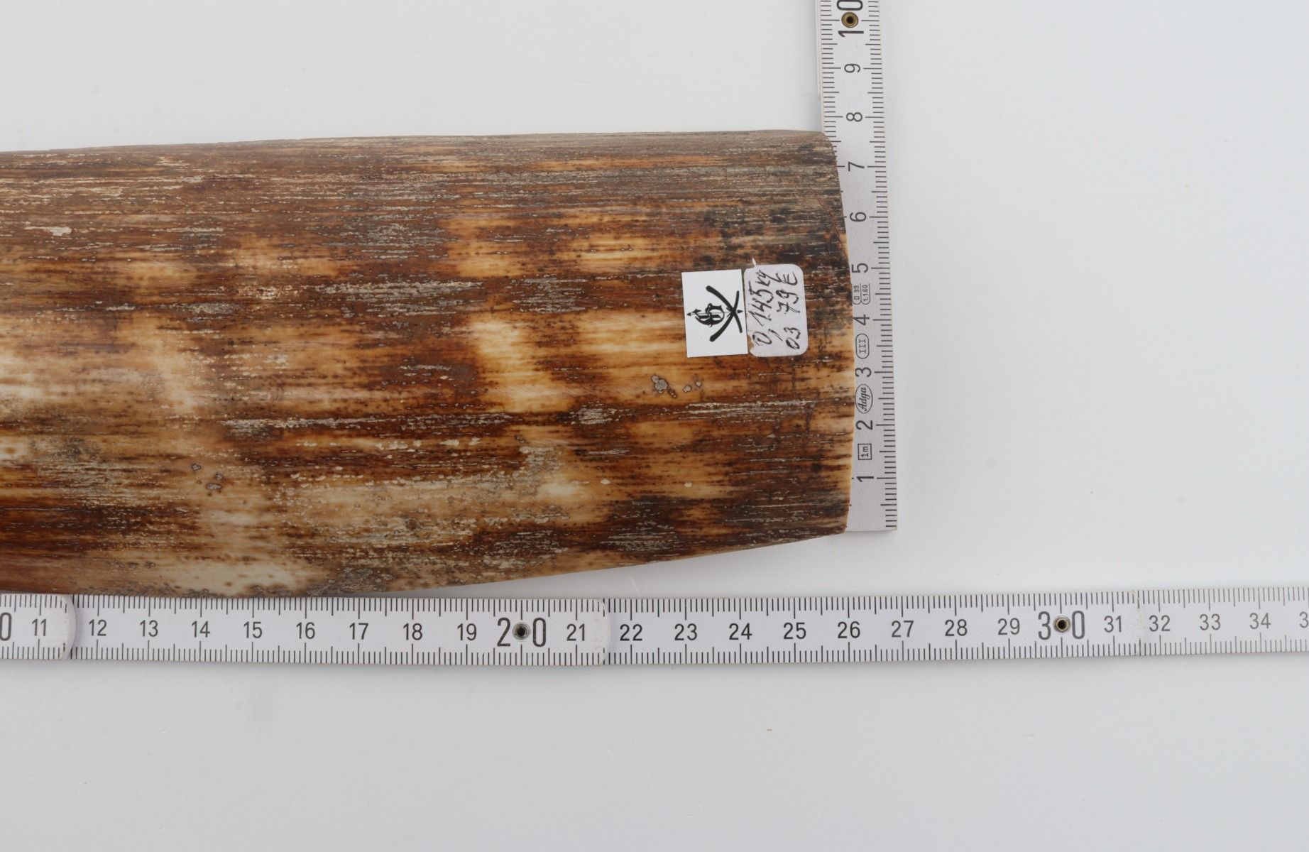 Brown-orange mammoth bark