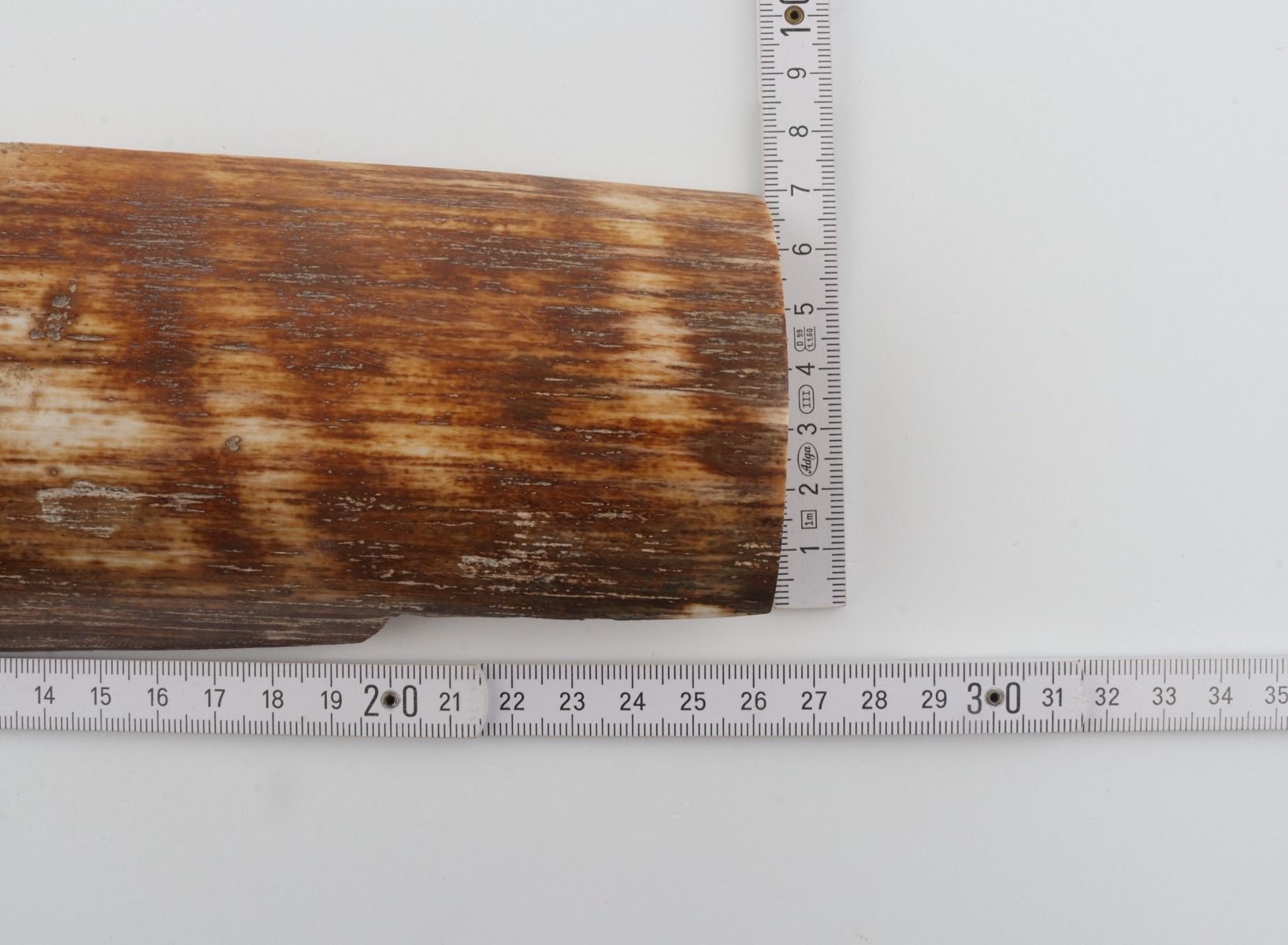 Brown-orange mammoth bark