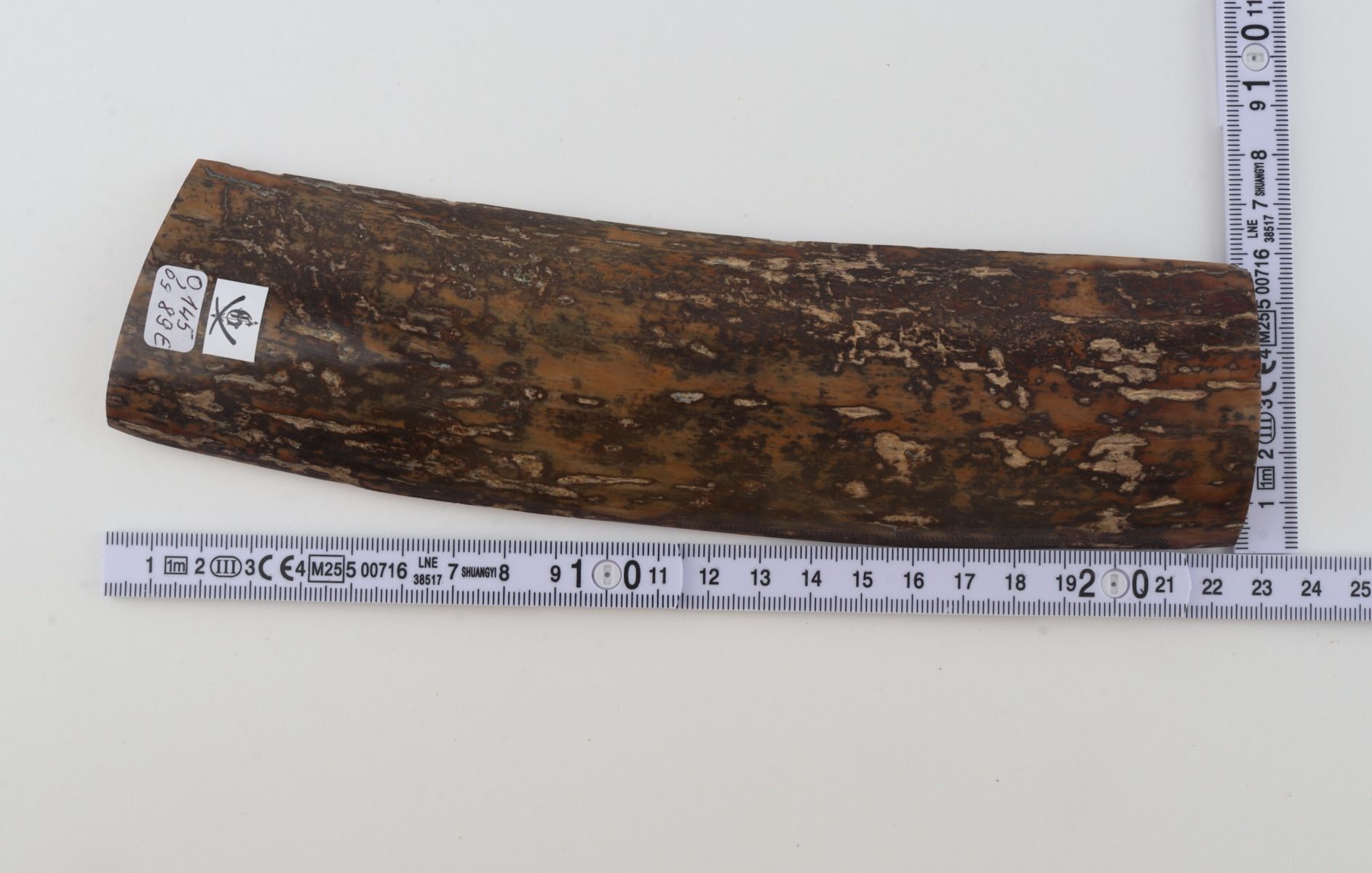 Brown-mustard mammoth bark