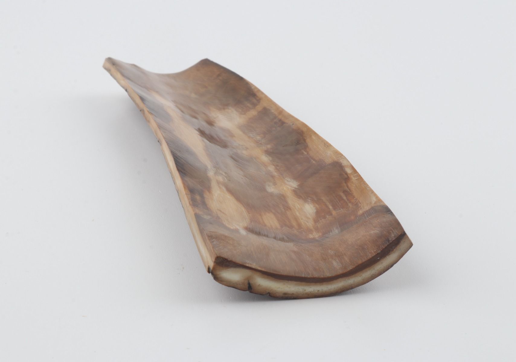 Brown-mustard mammoth bark