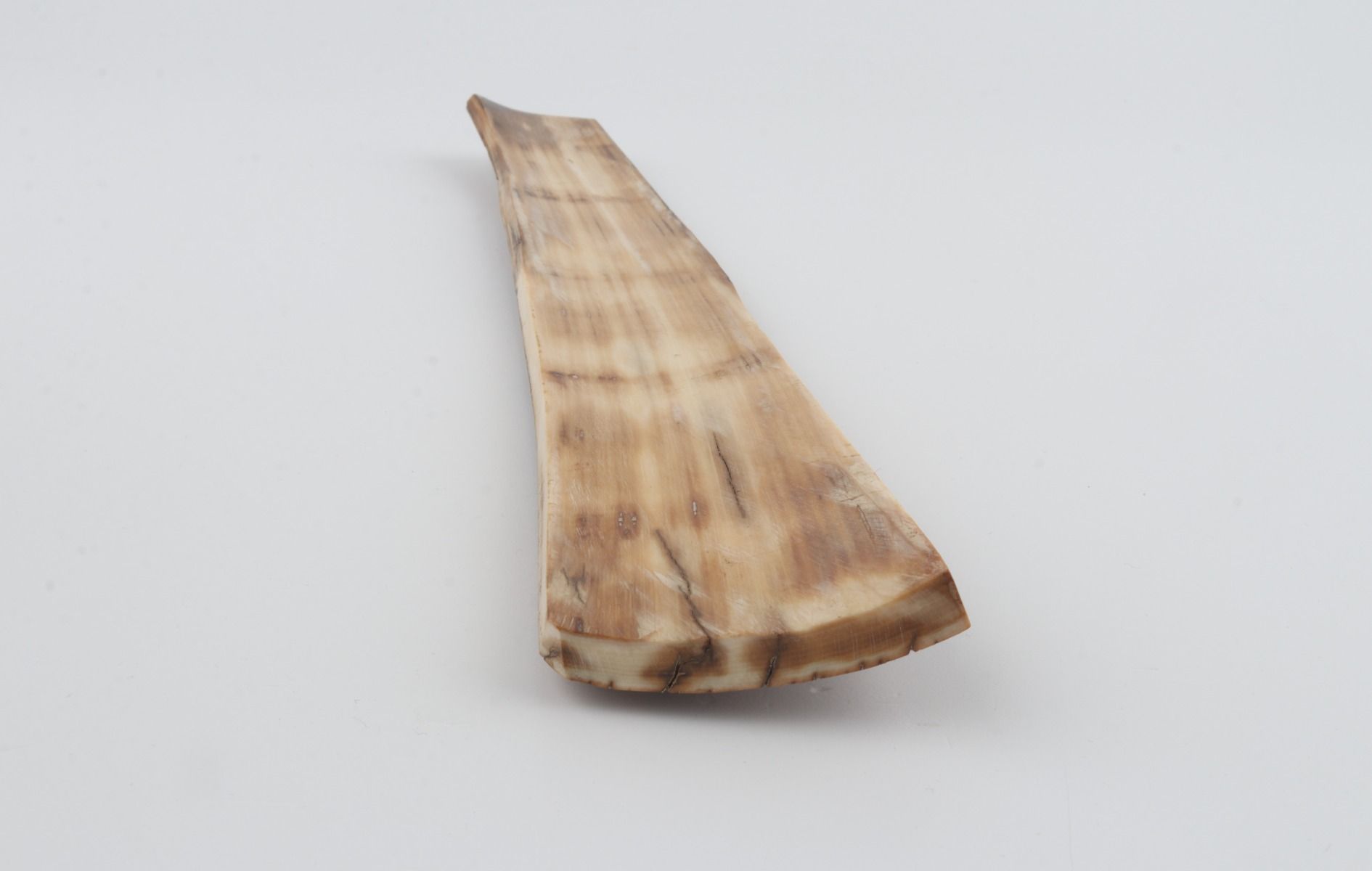 Brown-mustard mammoth bark