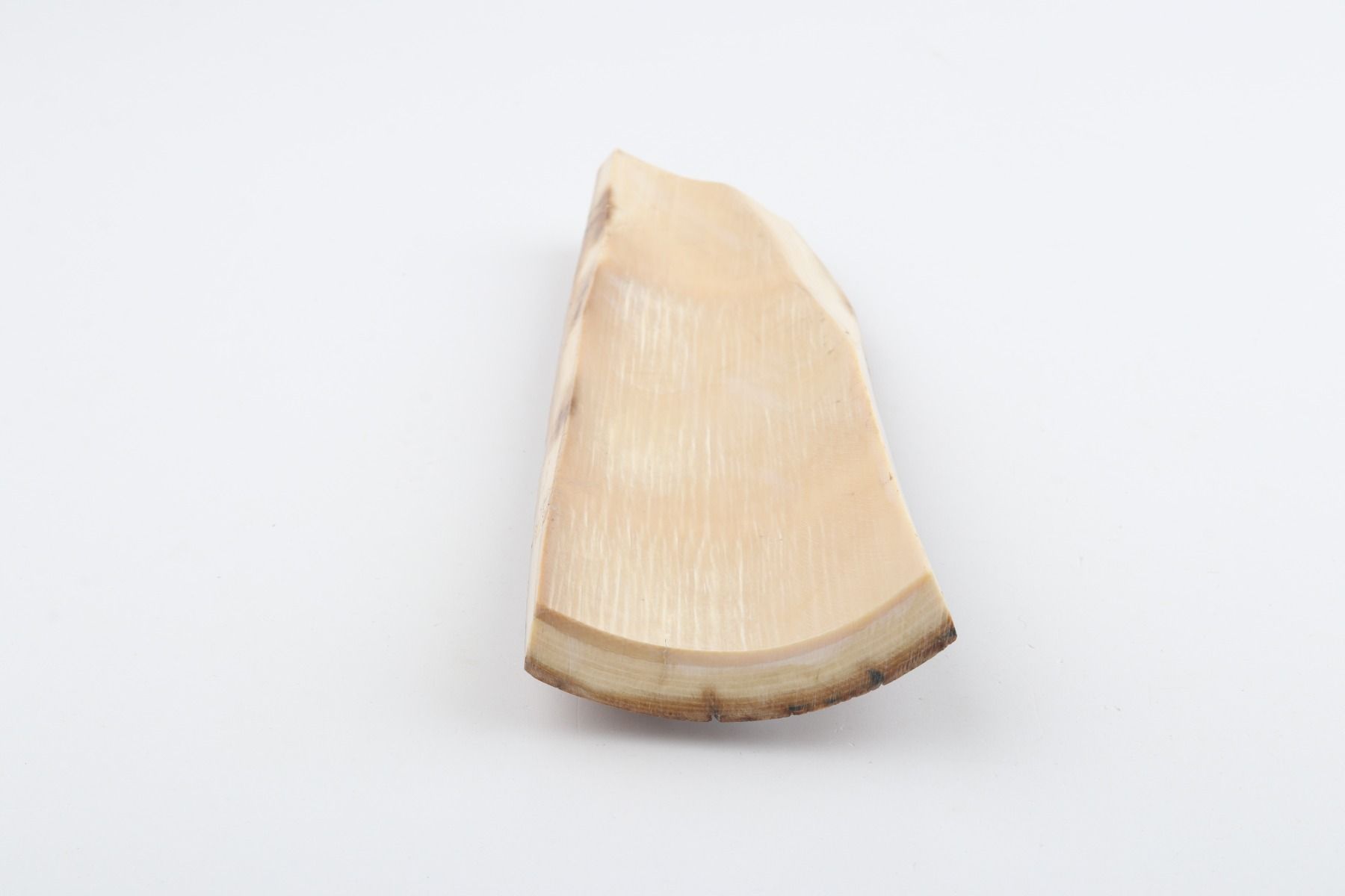 Caramel-brown mammoth bark