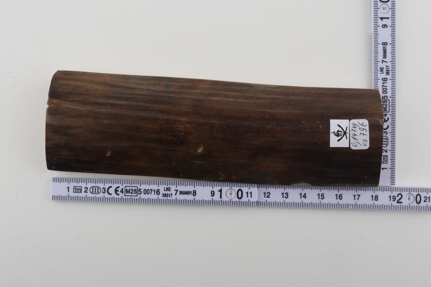 Brown-green mammoth bark