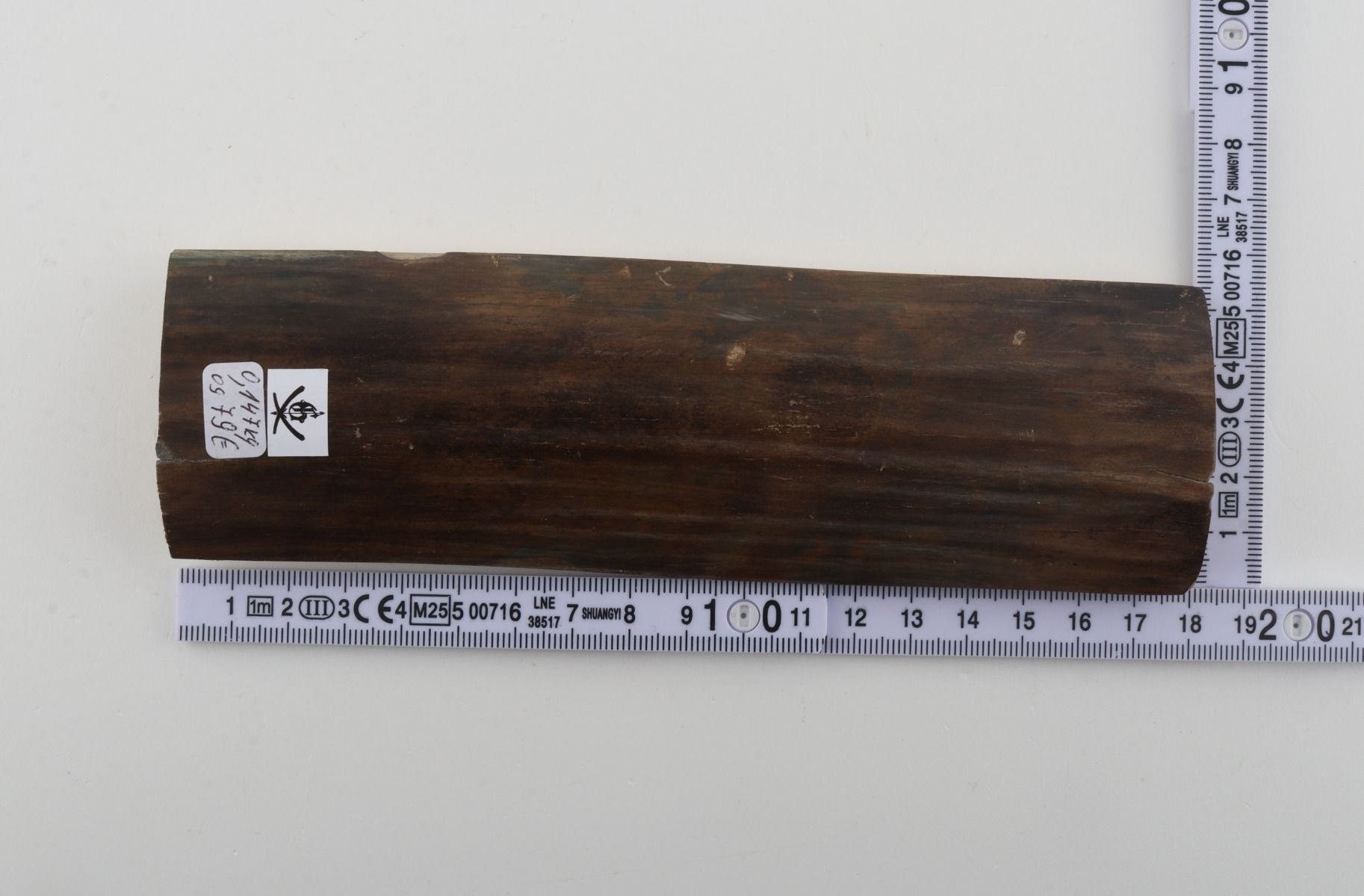Brown-green mammoth bark