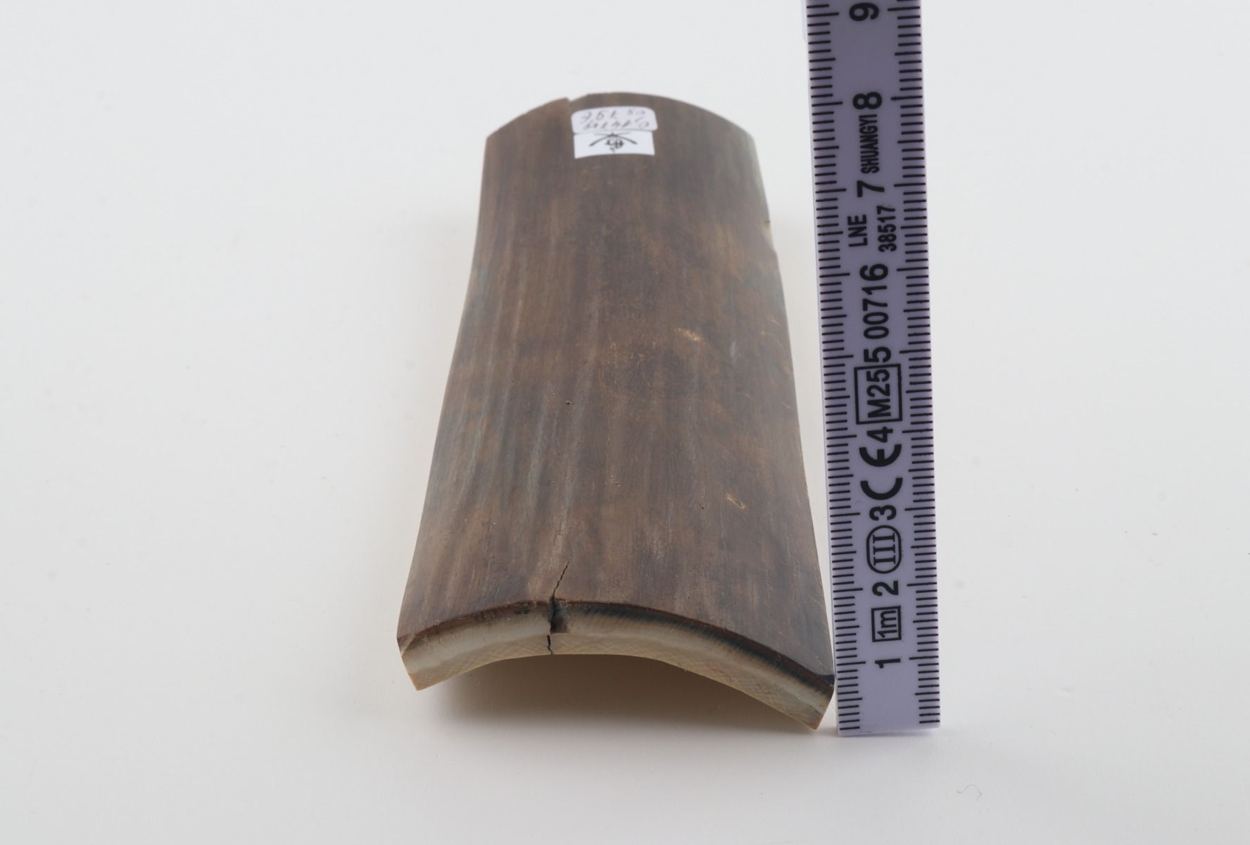Brown-green mammoth bark