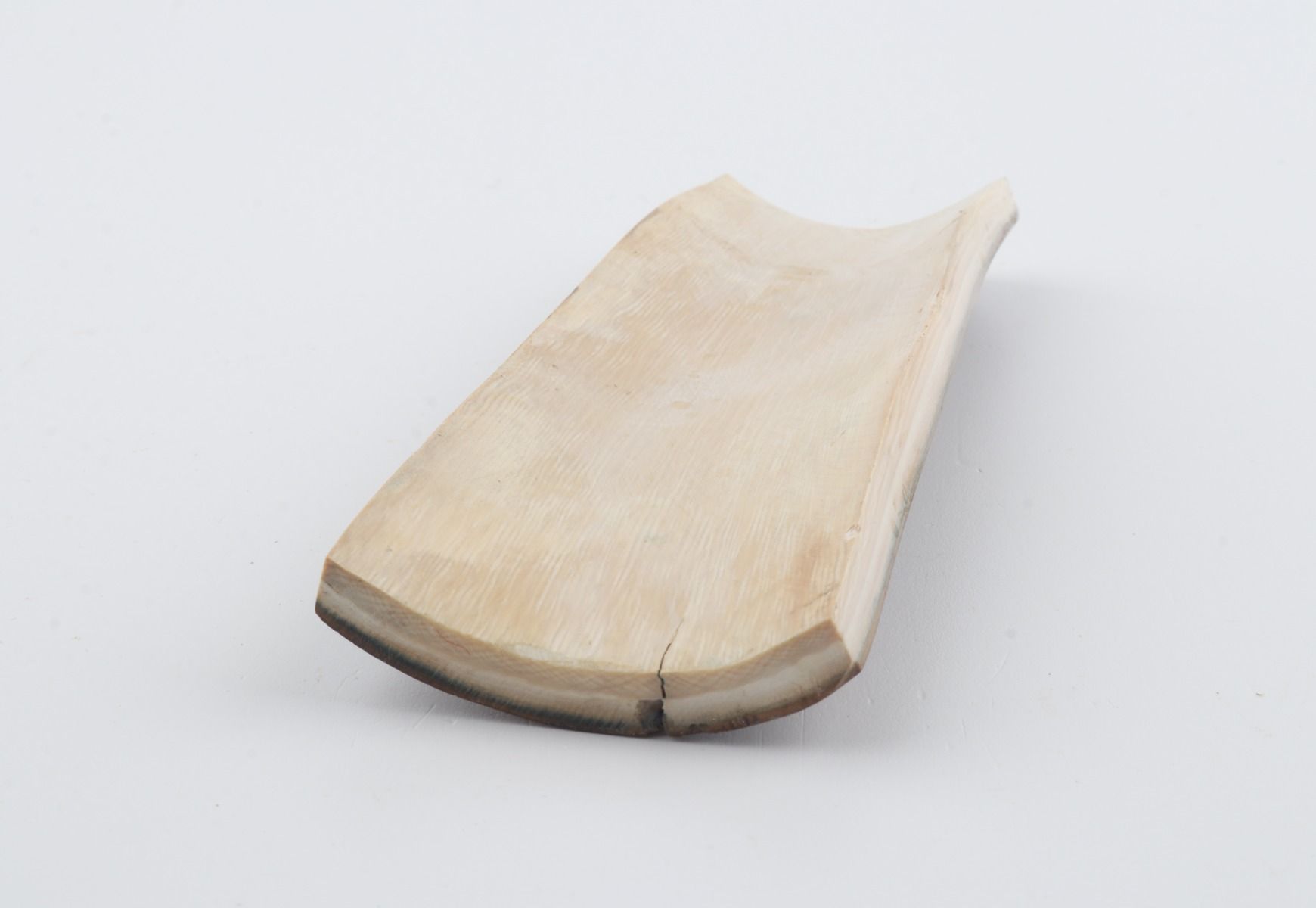 Brown-green mammoth bark