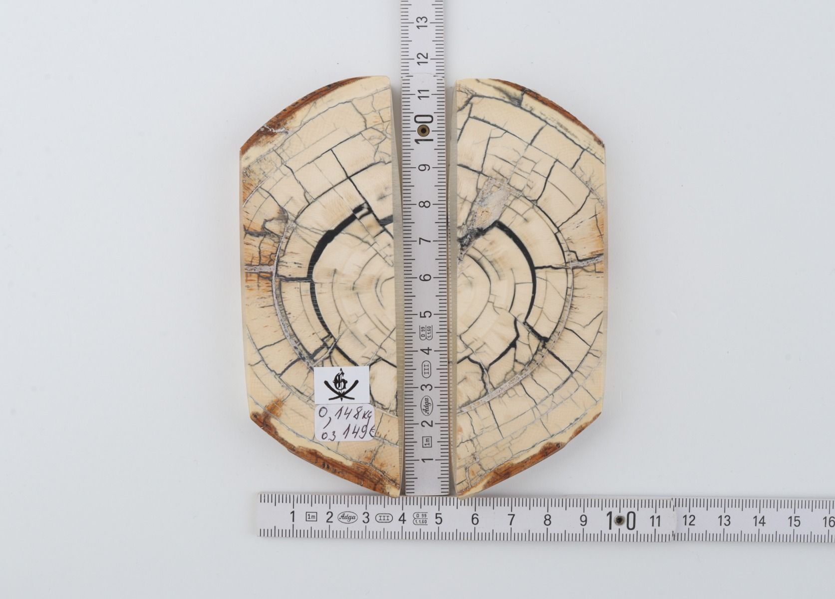 Stabilized mammoth ivory scales