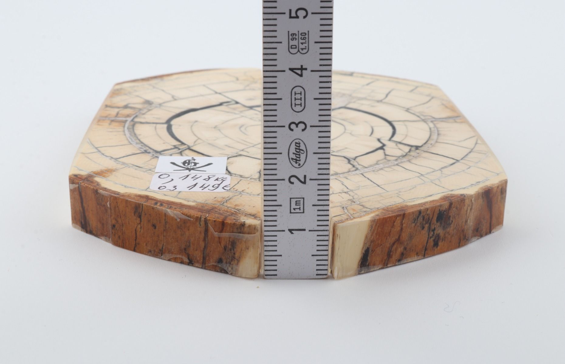 Stabilized mammoth ivory scales