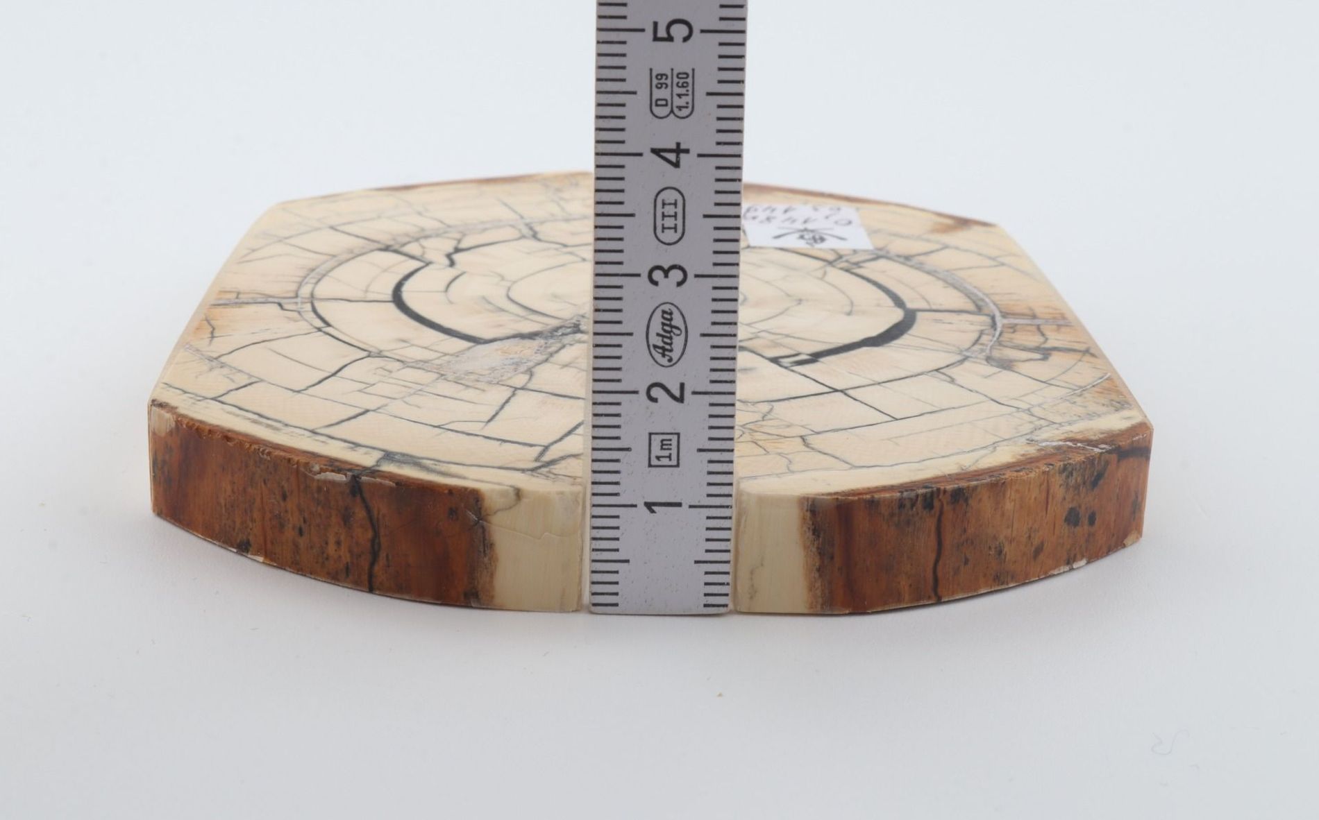 Stabilized mammoth ivory scales
