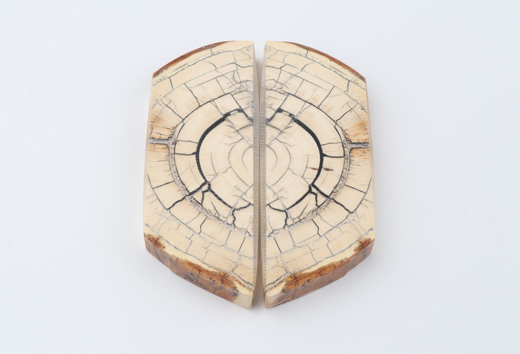 Stabilized mammoth ivory scales