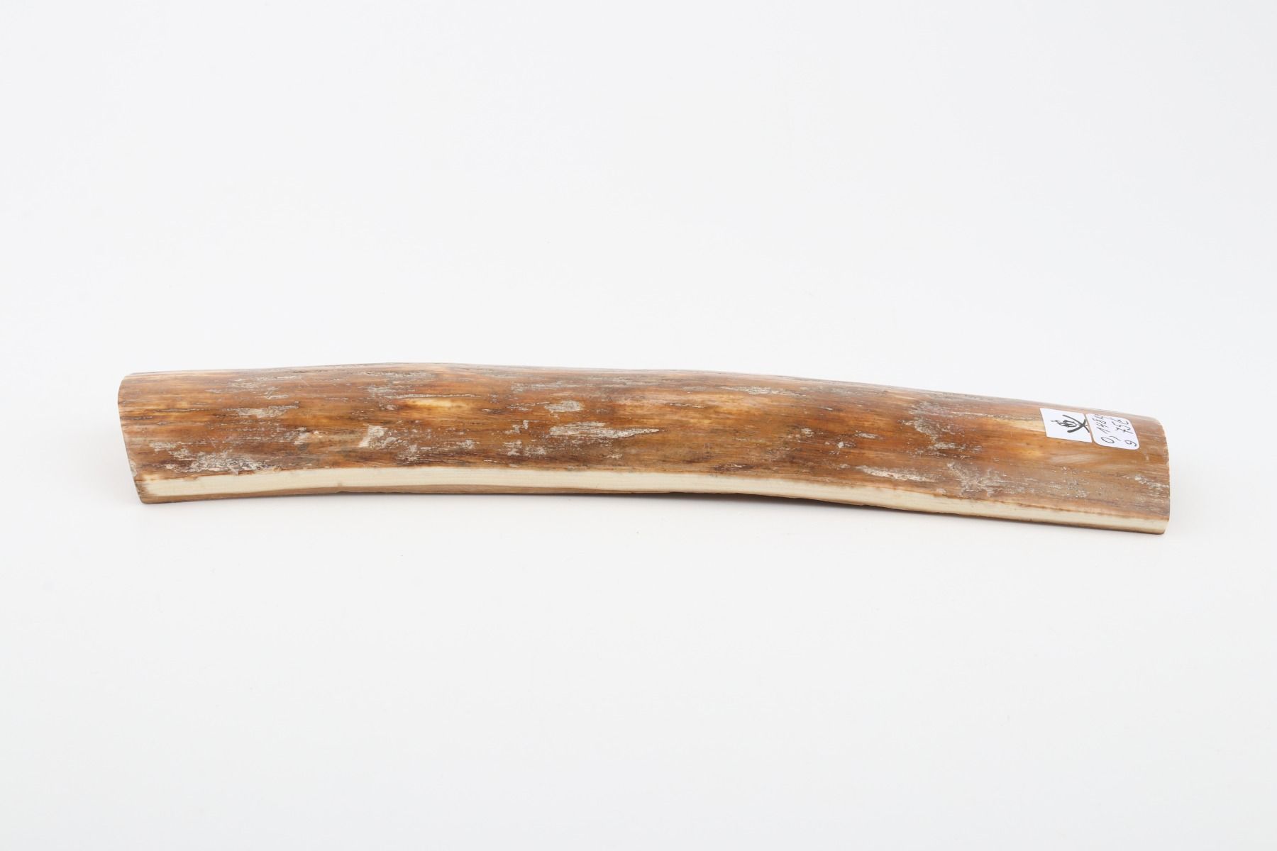 Caramel mammoth bark