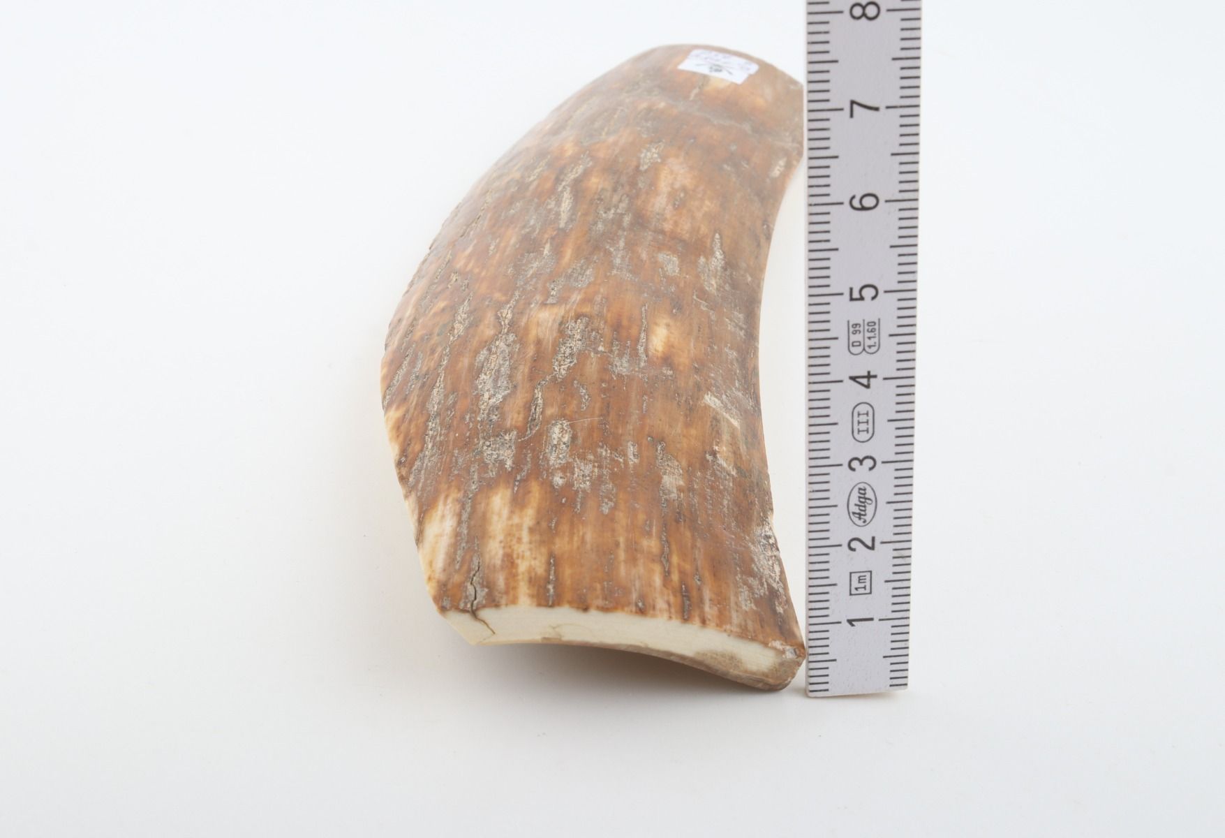 Caramel mammoth bark