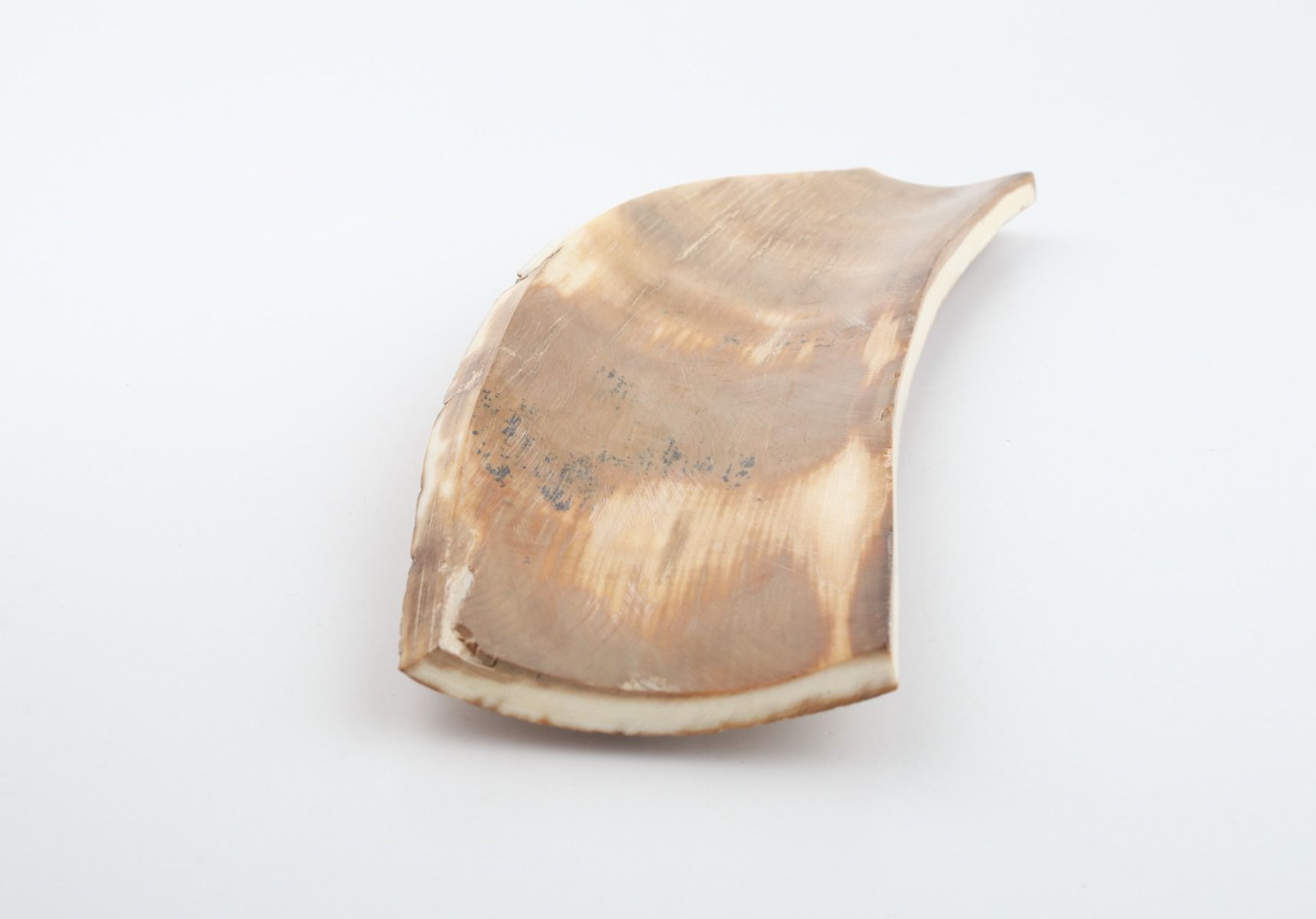 Caramel mammoth bark
