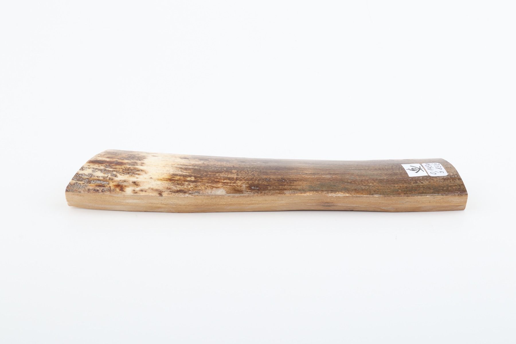 Brown-white mammoth bark