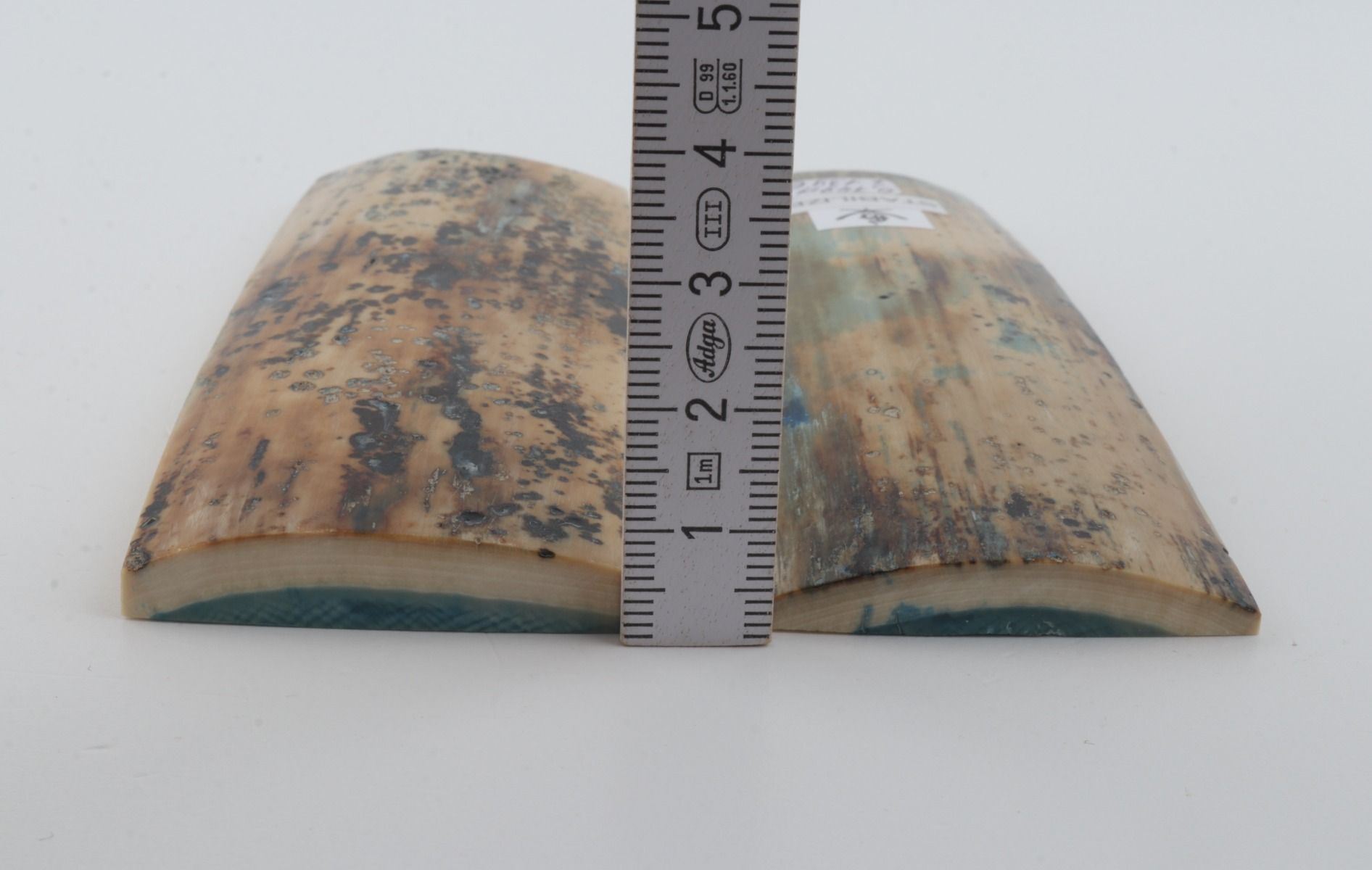 Stabilised mammoth bark scales