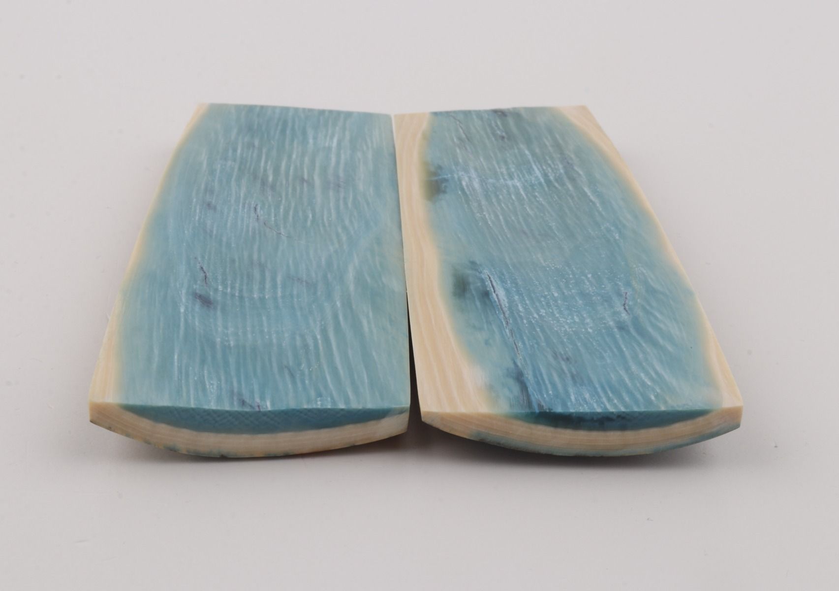 Stabilised mammoth bark scales