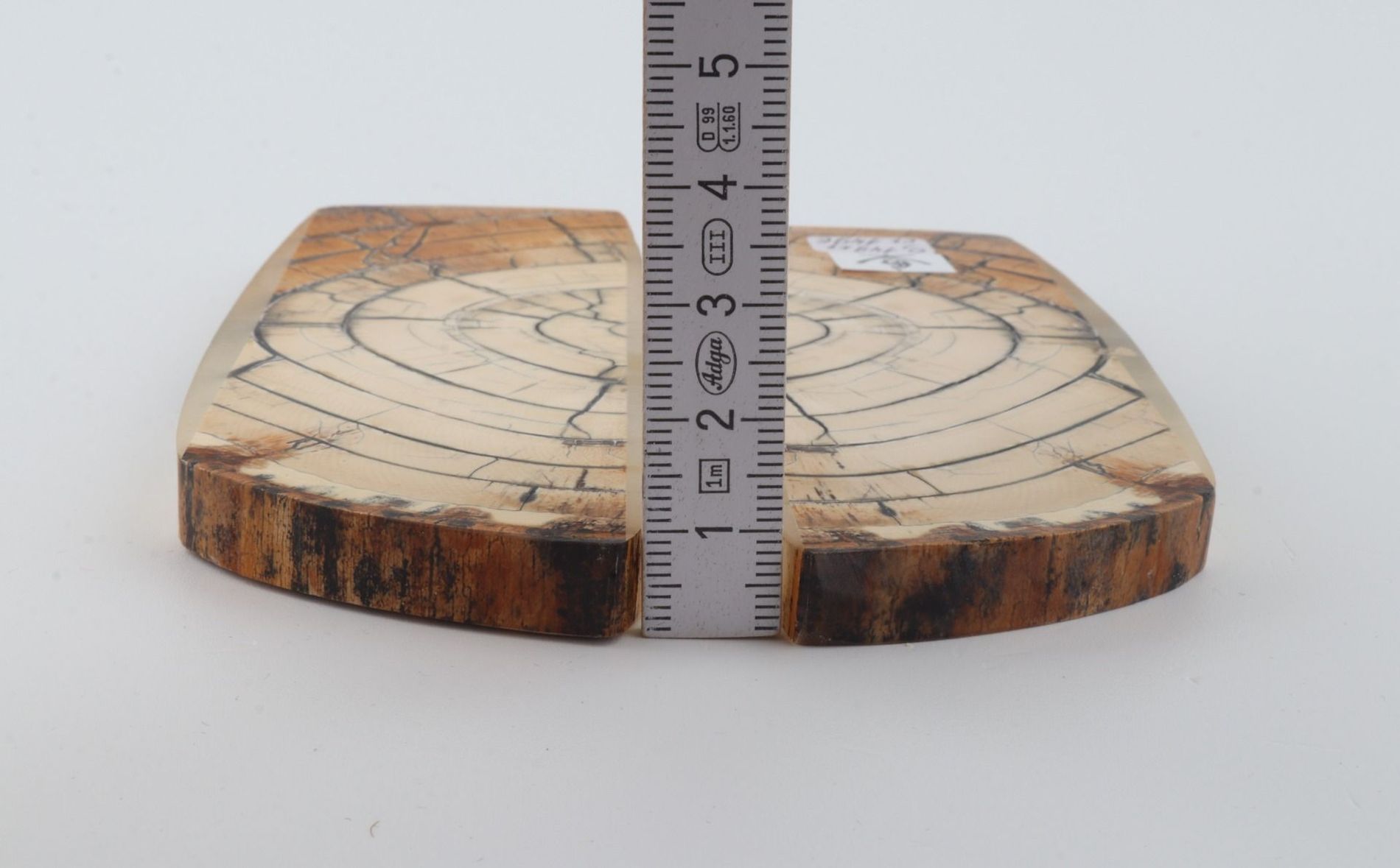 White mammoth ivory scales