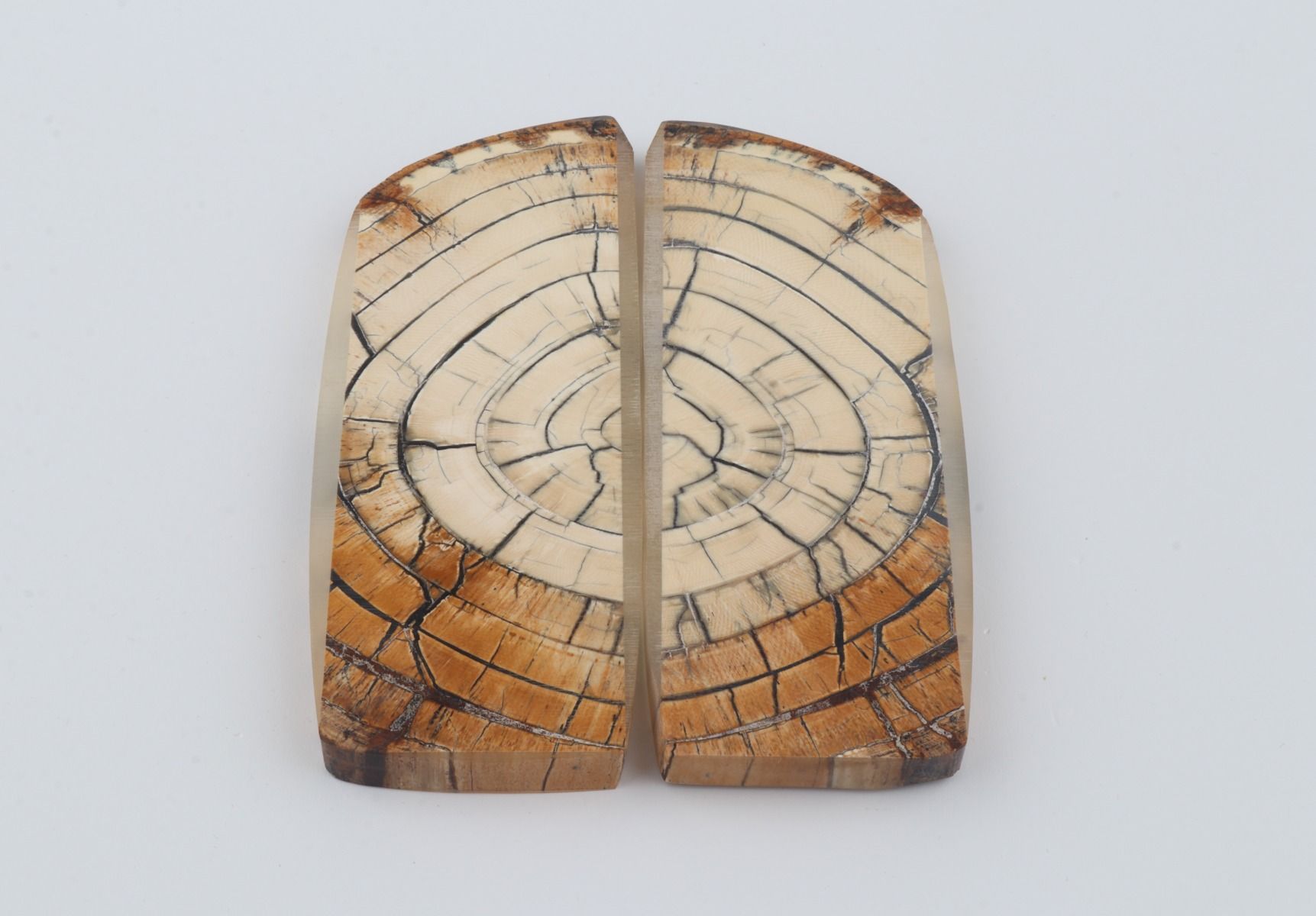 White mammoth ivory scales