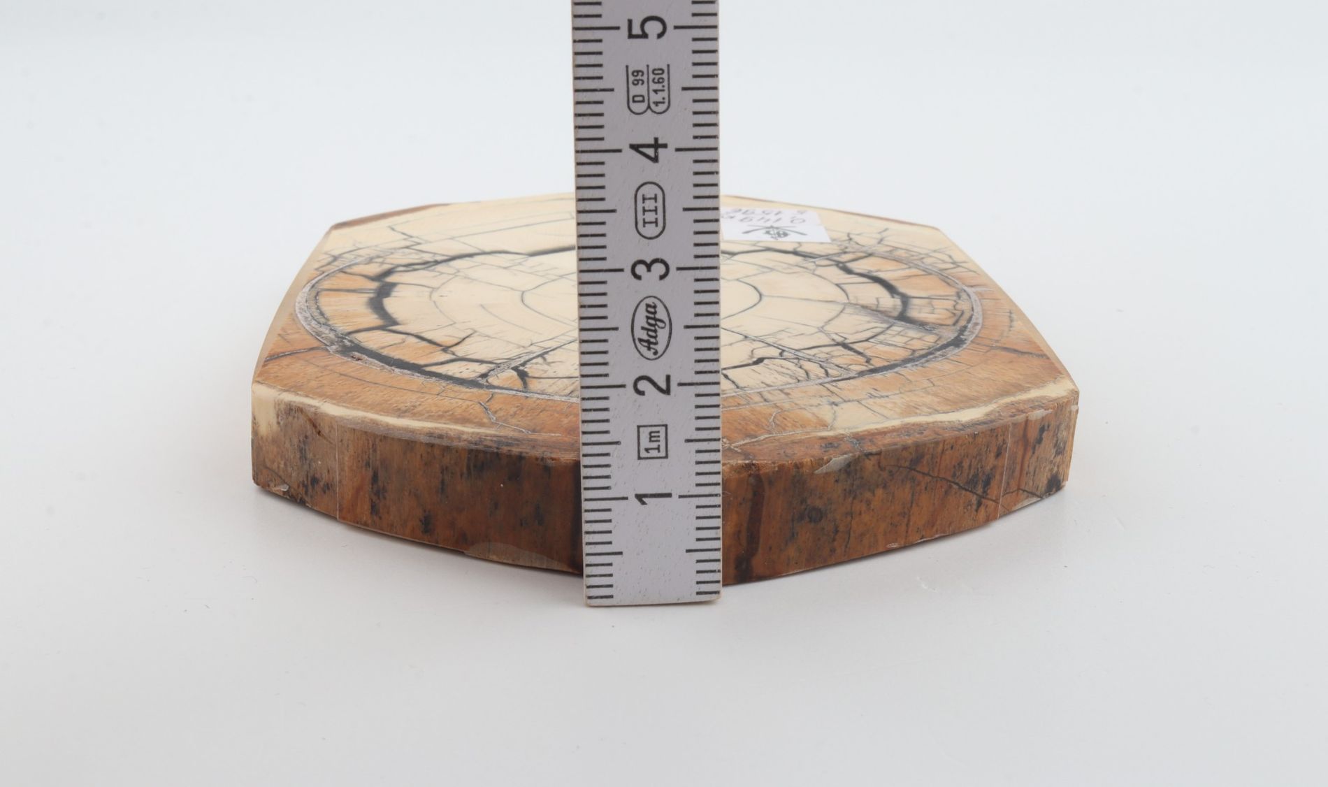 Stabilised mammoth ivory scales
