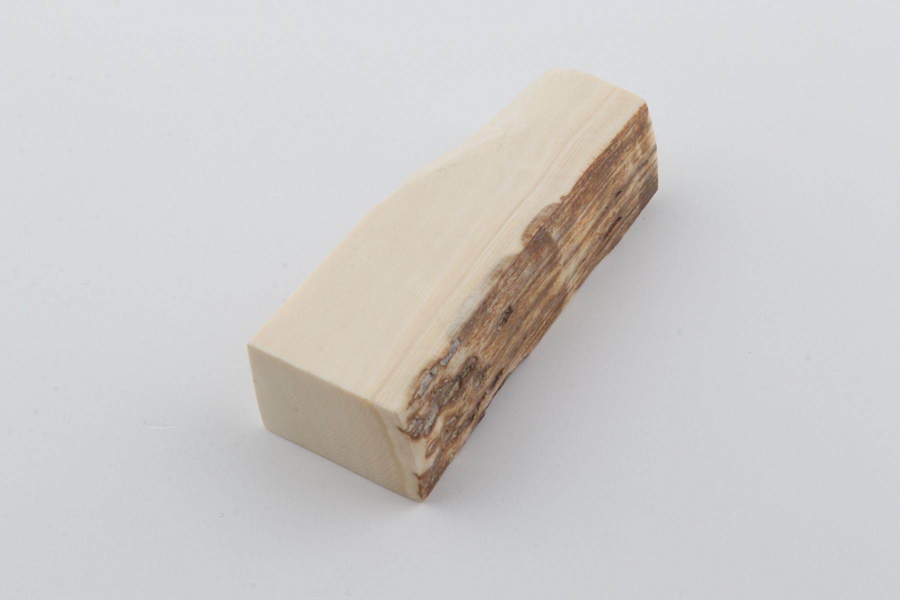 White mammoth ivory segment