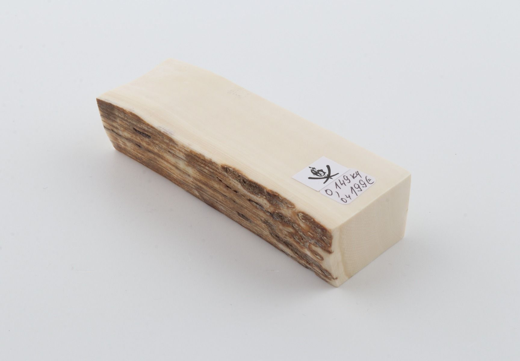 White mammoth ivory segment