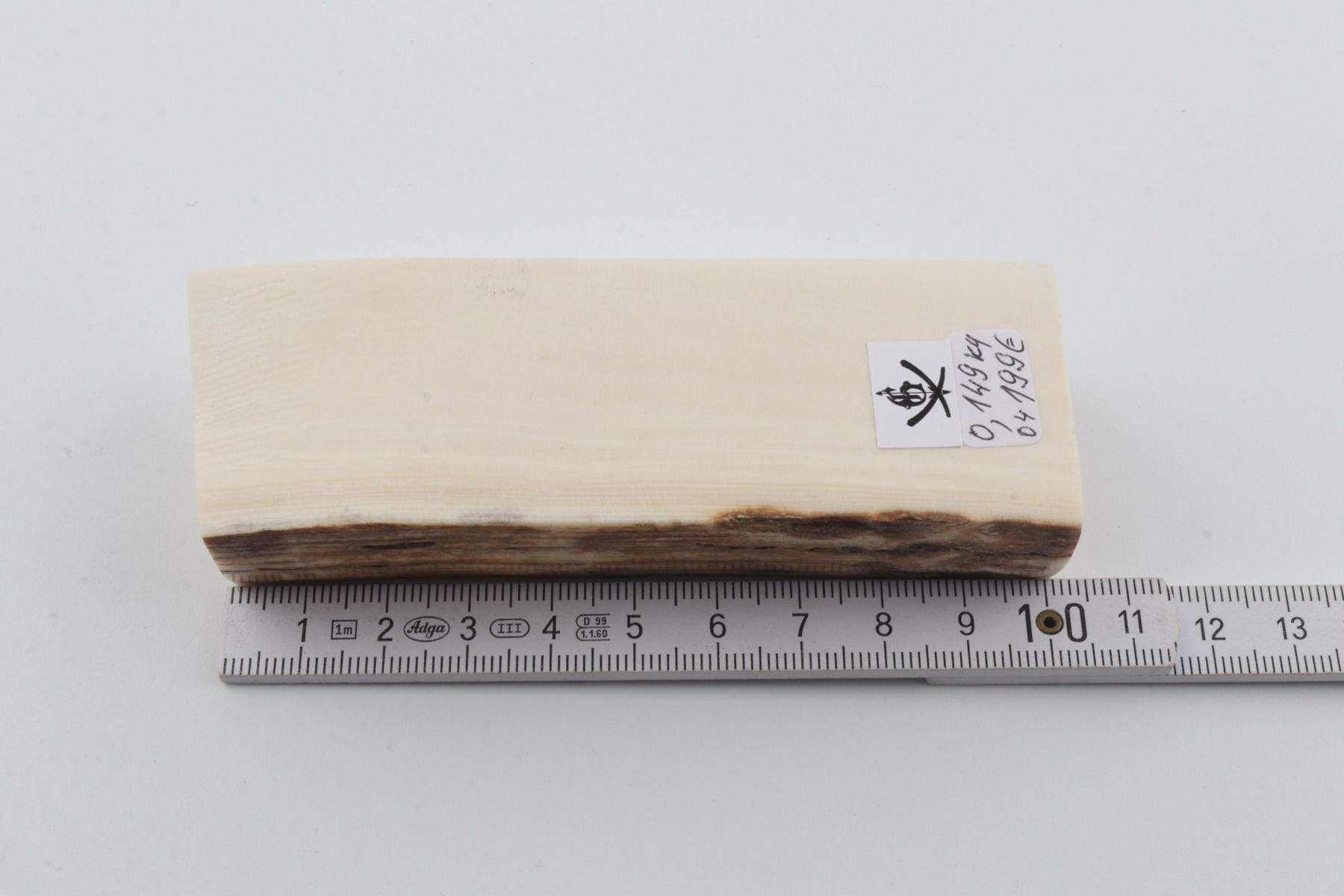 White mammoth ivory segment