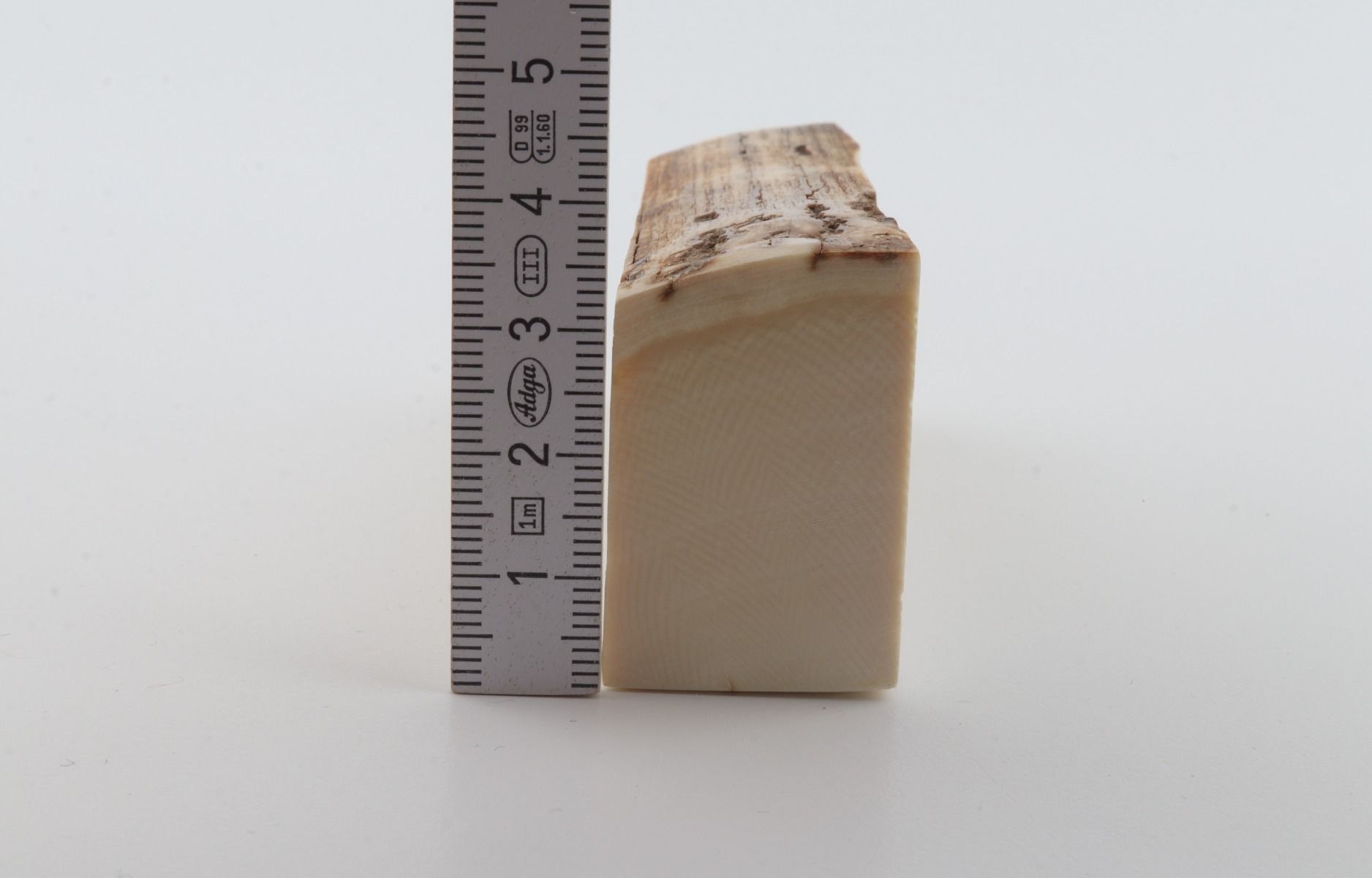 White mammoth ivory segment