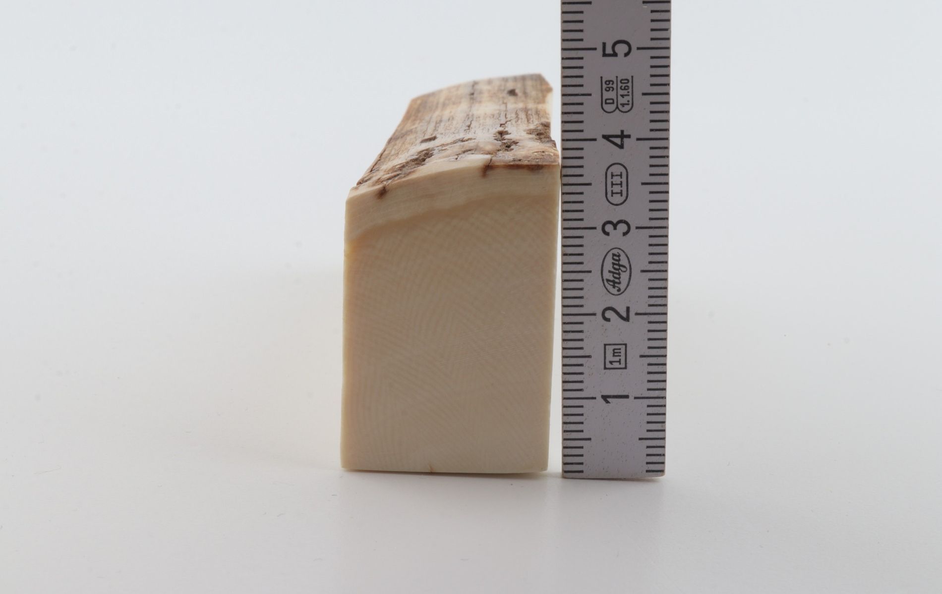 White mammoth ivory segment