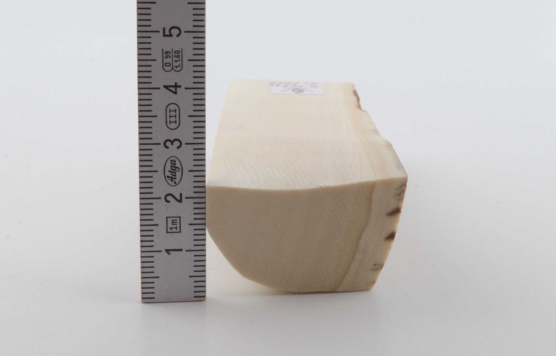 White mammoth ivory segment